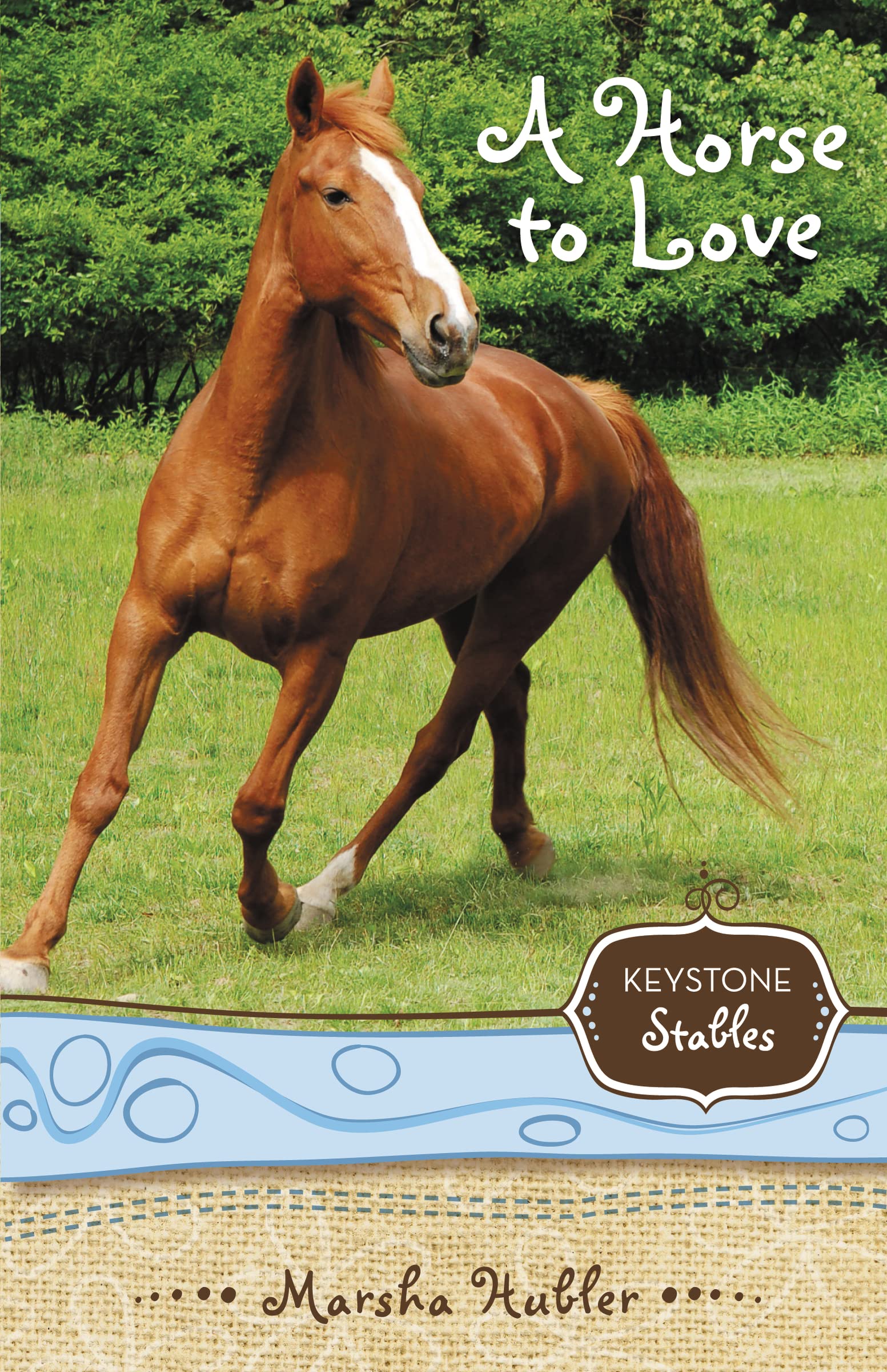 A Horse to Love (1) (Keystone Stables)