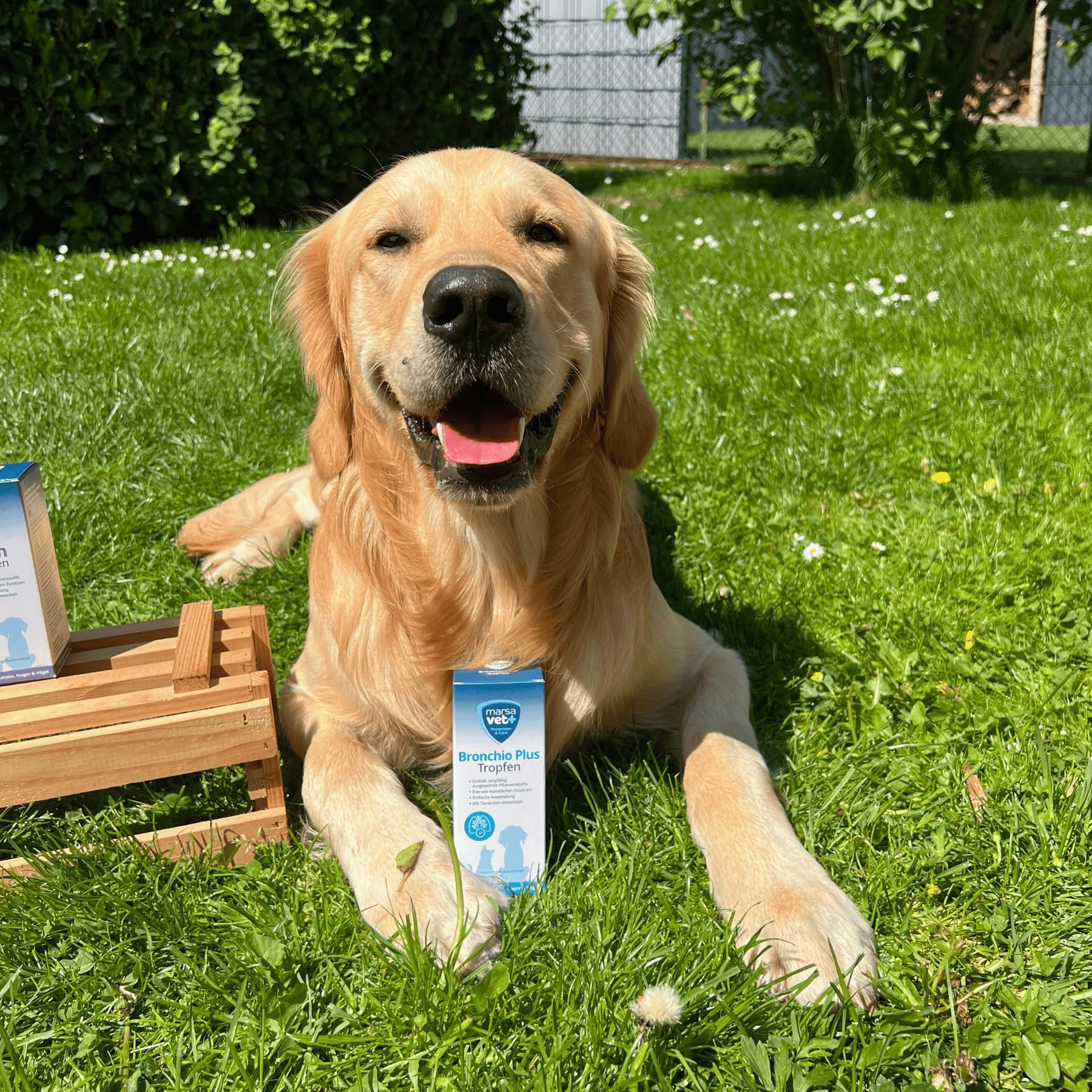 Marsavet Bronchio Plus – Flüssiges Ergänzungsfuttermittel mit pflanzlichen Inhaltsstoffen zur Unterstützung der normalen Atemwegsfunktion - für Hunde, Katzen, Nager und Vögel | 100 ml