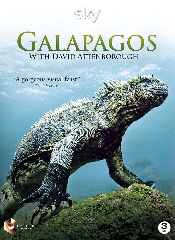 その他 Galapagos [DVD] CoverCity - DVD Covers & Labels - Sea Lions of the Galapagos
