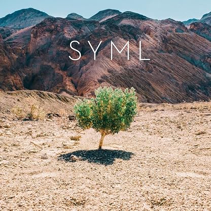 Syml - In My Body por SYML, capa do álbum