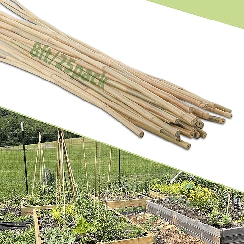 Miniatura 9 de 50 estacas de bambú para plantas de interior y exterior, palos de bambú de 0.32 a 0.4 pulgadas, 3 pies, estacas de soporte de jardín, postes de