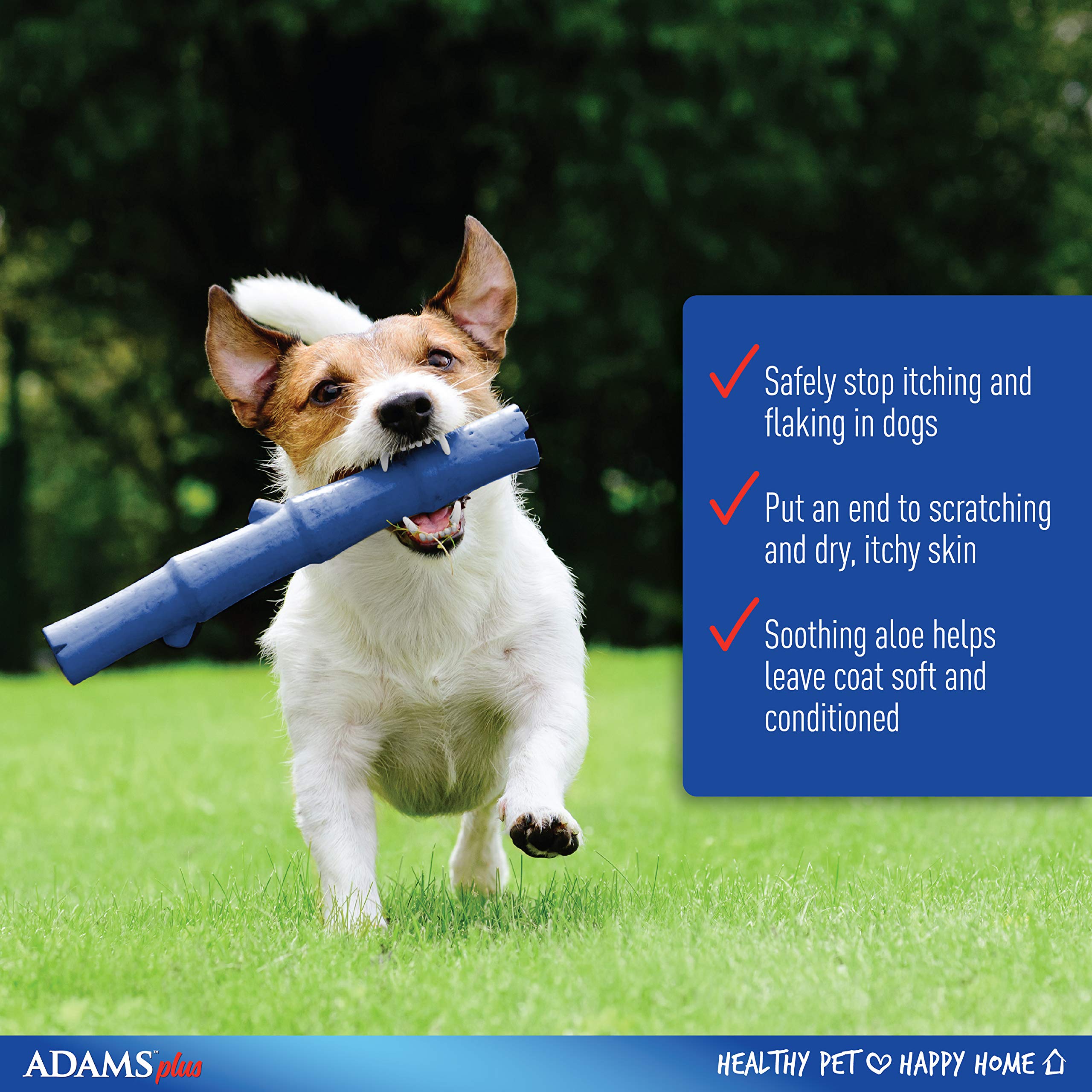 adams medicated dog shampoo