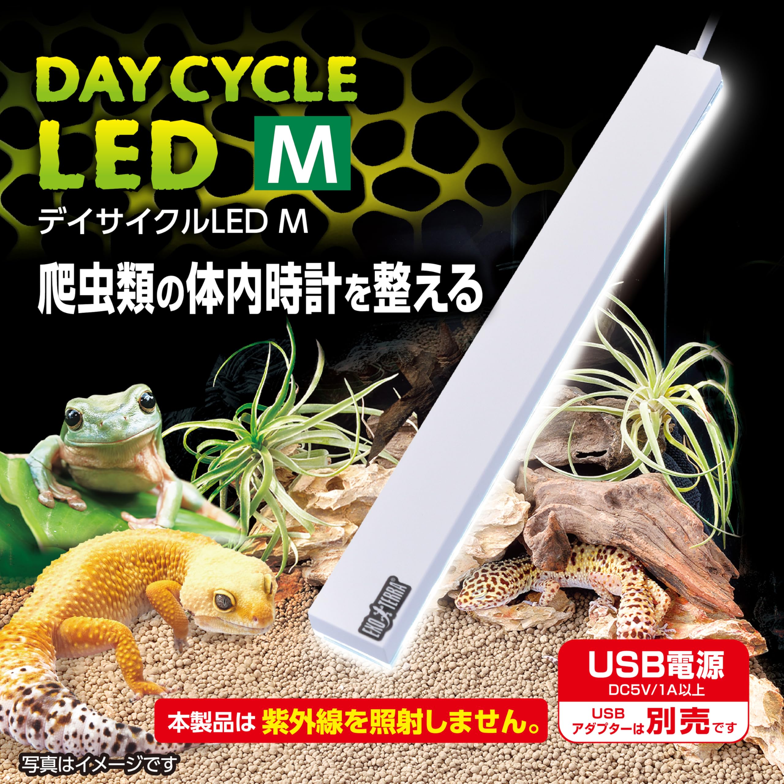 Amazon | ジェックス EXOTERRA デイサイクルLED M 爬虫類ケージを