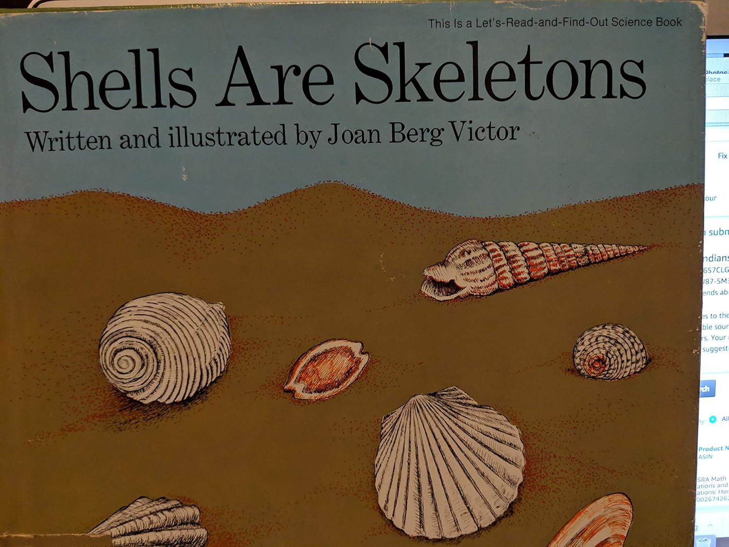 Scientific Shell Book Amazon | Shells Are Skeletons (Let'S-Read-And-Find-Out Science Books ...