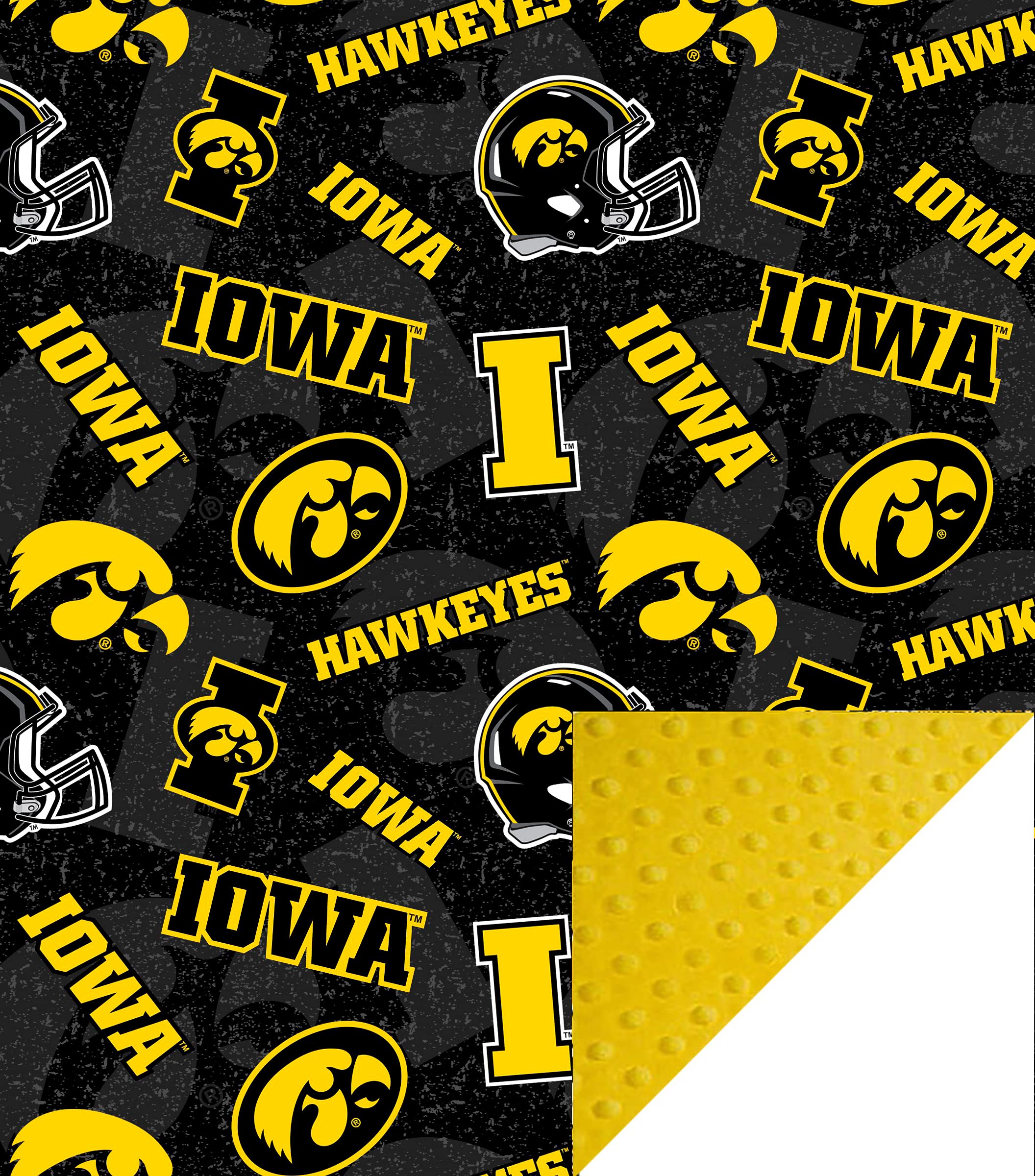 Future Tailgater Iowa Hawkeyes Licensed Minky Blanket Throw (42