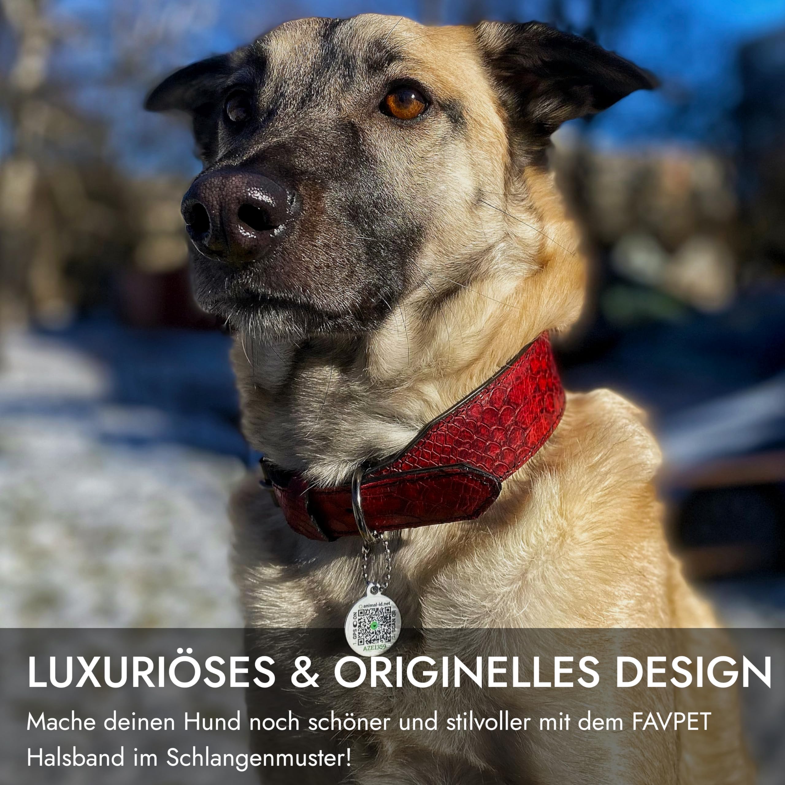 FAVPET Luxus Echtleder Halsband Hund Breit mit QR Code Anhnger,  Gepolstertes Hundehalsband Leder Breit, Breites Lederhalsband Hund, Breite  Hunde Halsbnder, Welpenhalsbnder Leder (Schwarz, M) : Amazon.de: Haustier
