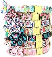 Vista 5 de Beirui Lindos collares para perras con patrones florales vibrantes, collar de perro hembra con flor para caminar, collar ajustable y duradero