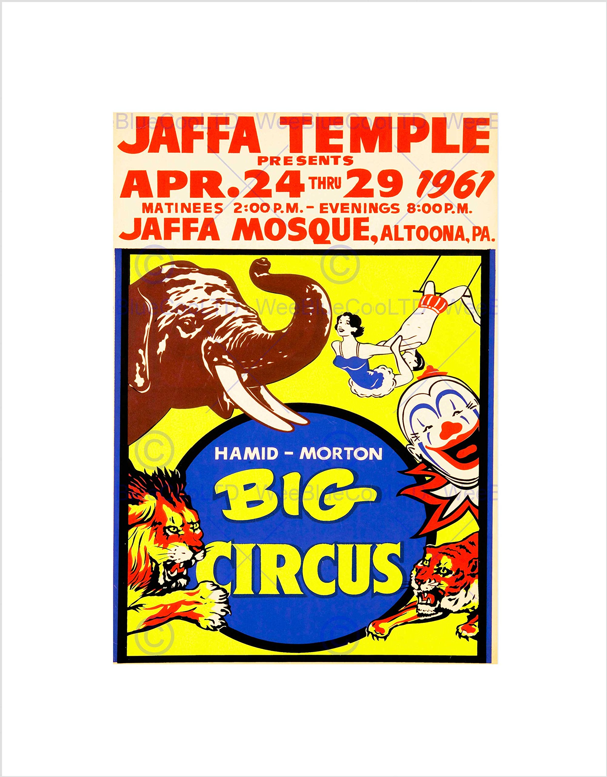 Wee Blue CooCircus Hamid Morton Big Jaffa Temple Elephant Lion Acrobat Wall Art Print