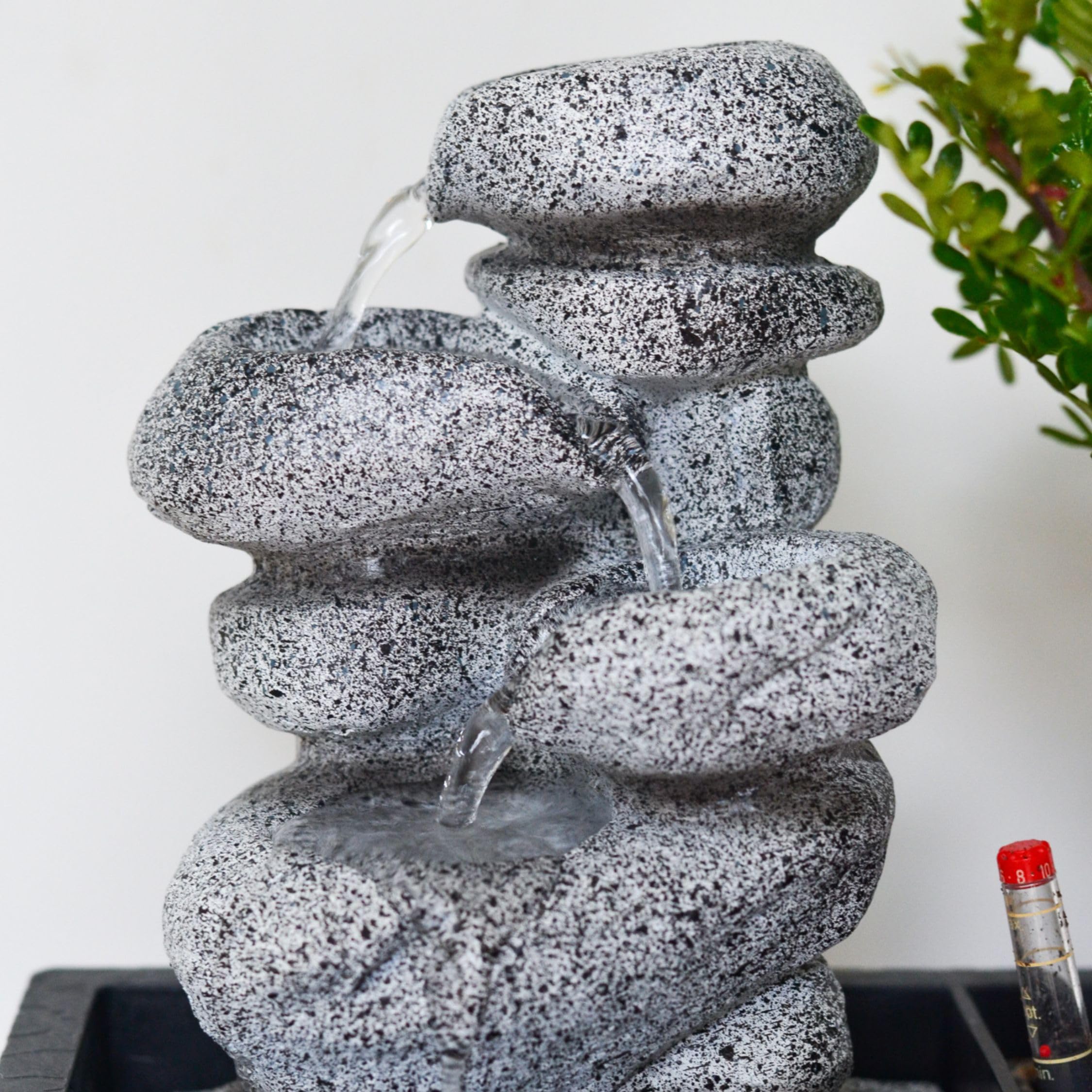 Plant in a Box - Bonsaï avec système d'eau facile à entretenir et cascade d'eau sur des pierres zen - Plante d'intérieur - Hauteur 25-35cm