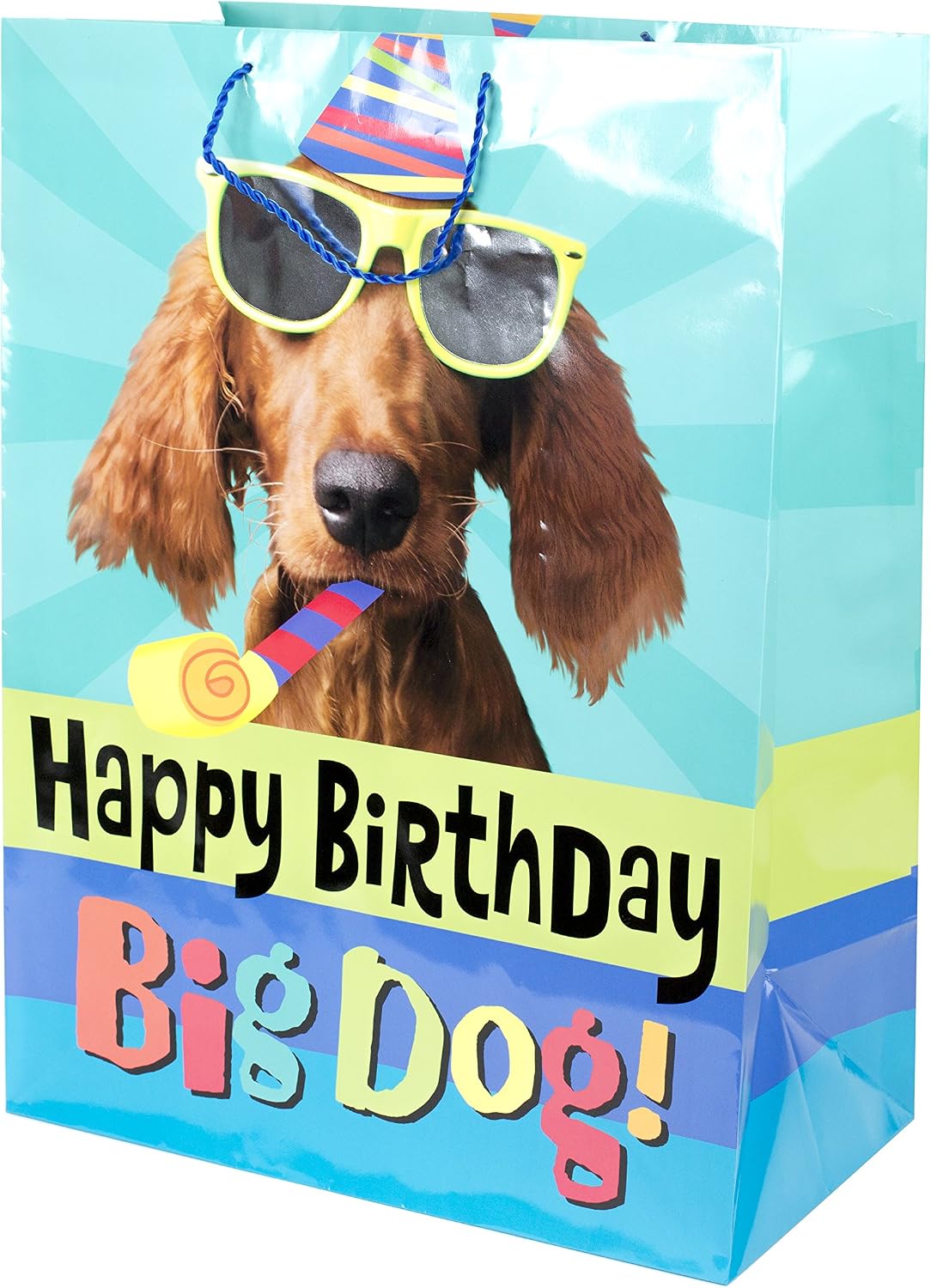 Hallmark Oversized Birthday Gift Bag (Party Dog)