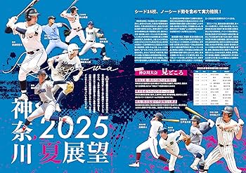 91ZmhF6PURL._AC_UF350,