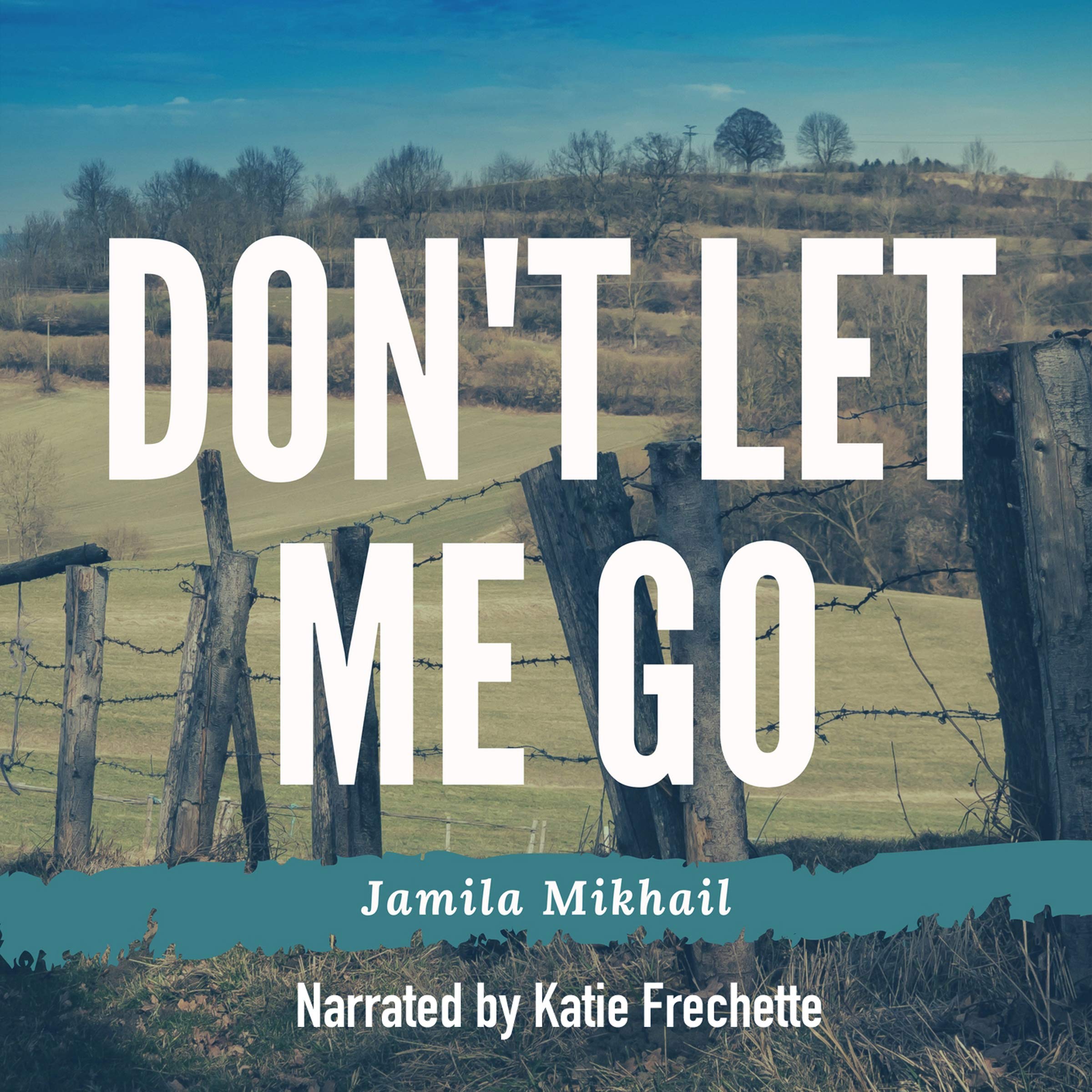 Cover art for Don't Let Me Go