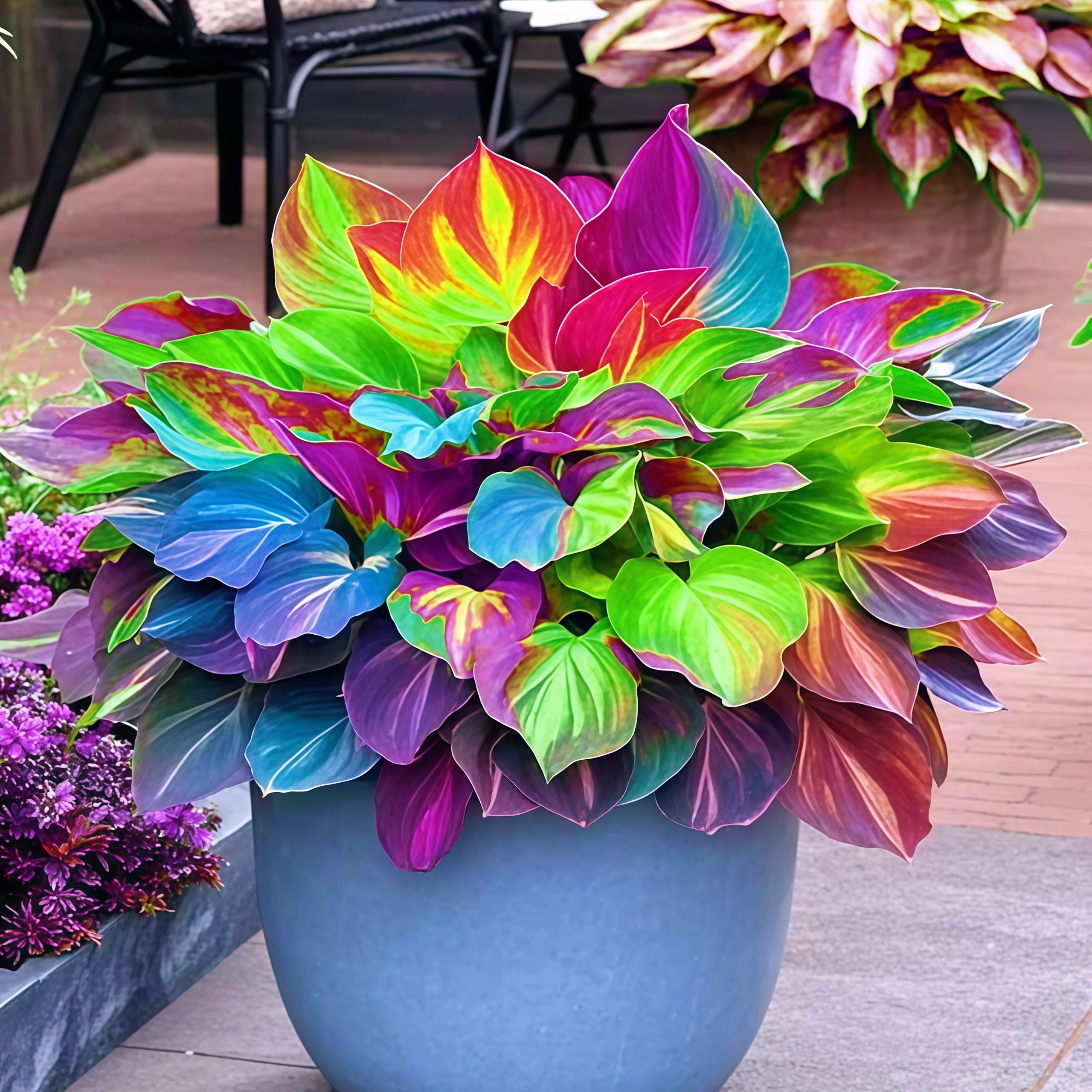 Abundant Hosta Bulbs Perennial UK, Rare and Beautiful Hostas Rhizome in Bulk,Planting for Stunning Garden Displays-4 Bulbs-A
