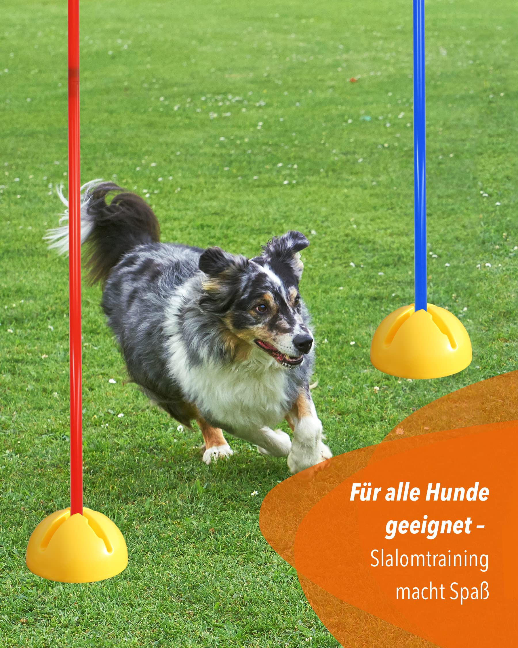 Supporto combinato X in plastica & asta slalom 180 cm – Set di 4 pezzi – Base riempibile – Asta per slalom & allenamento coordinazione – per calcio & sport cani – Slalom Set