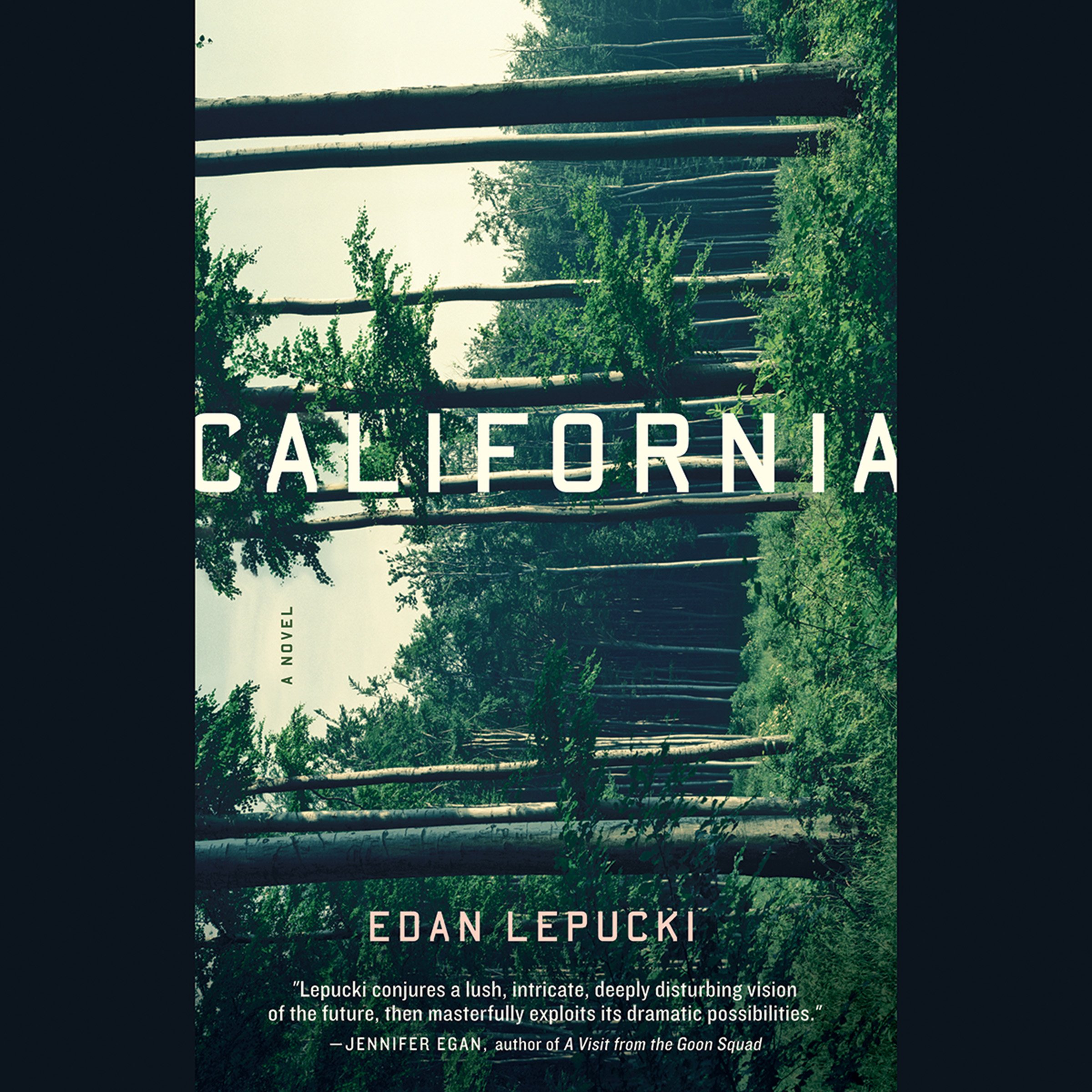 Cover art for California