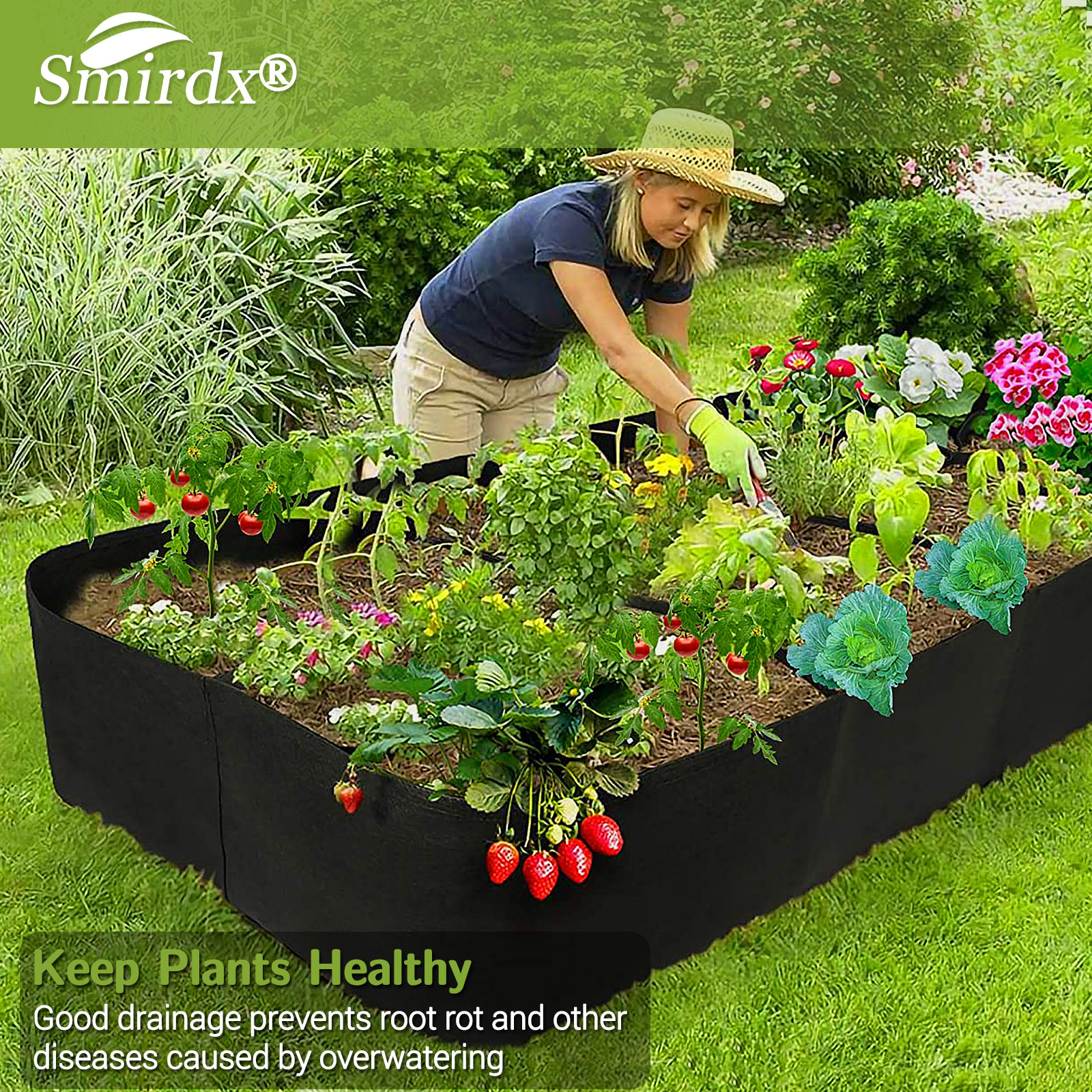 Plant at the right time and spacing