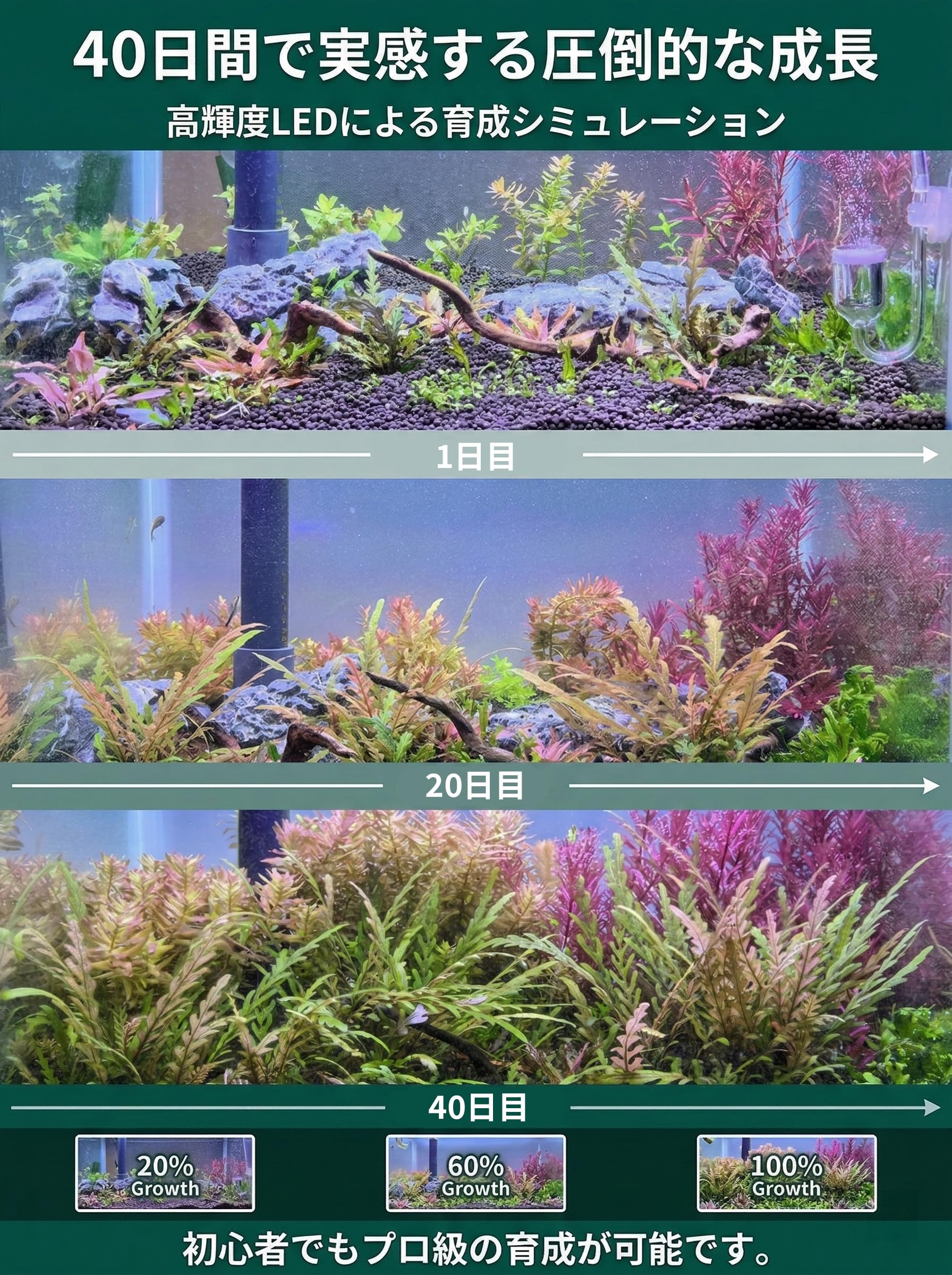 Amazon.co.jp: 水草育成ライト 水槽ライト 高輝度 高光量 水草水槽
