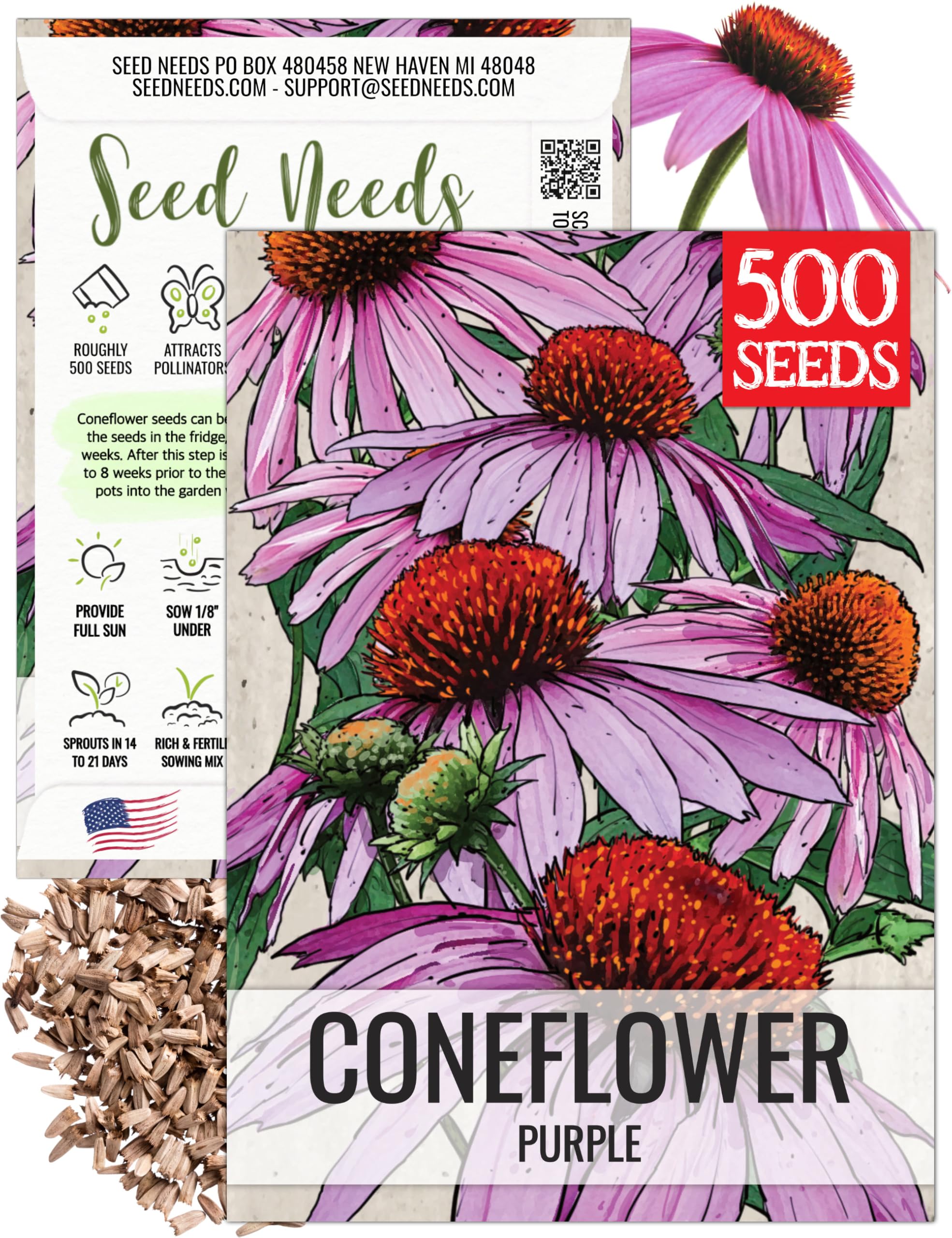 Seed Needs Coneflower Seeds for Planting Purple Echinacea Coneflowers - Heirloom & Open Pollinated Perennial Medicinal Flower - Perfect Wildflowers for a Butterfly Garden (1 Pack)