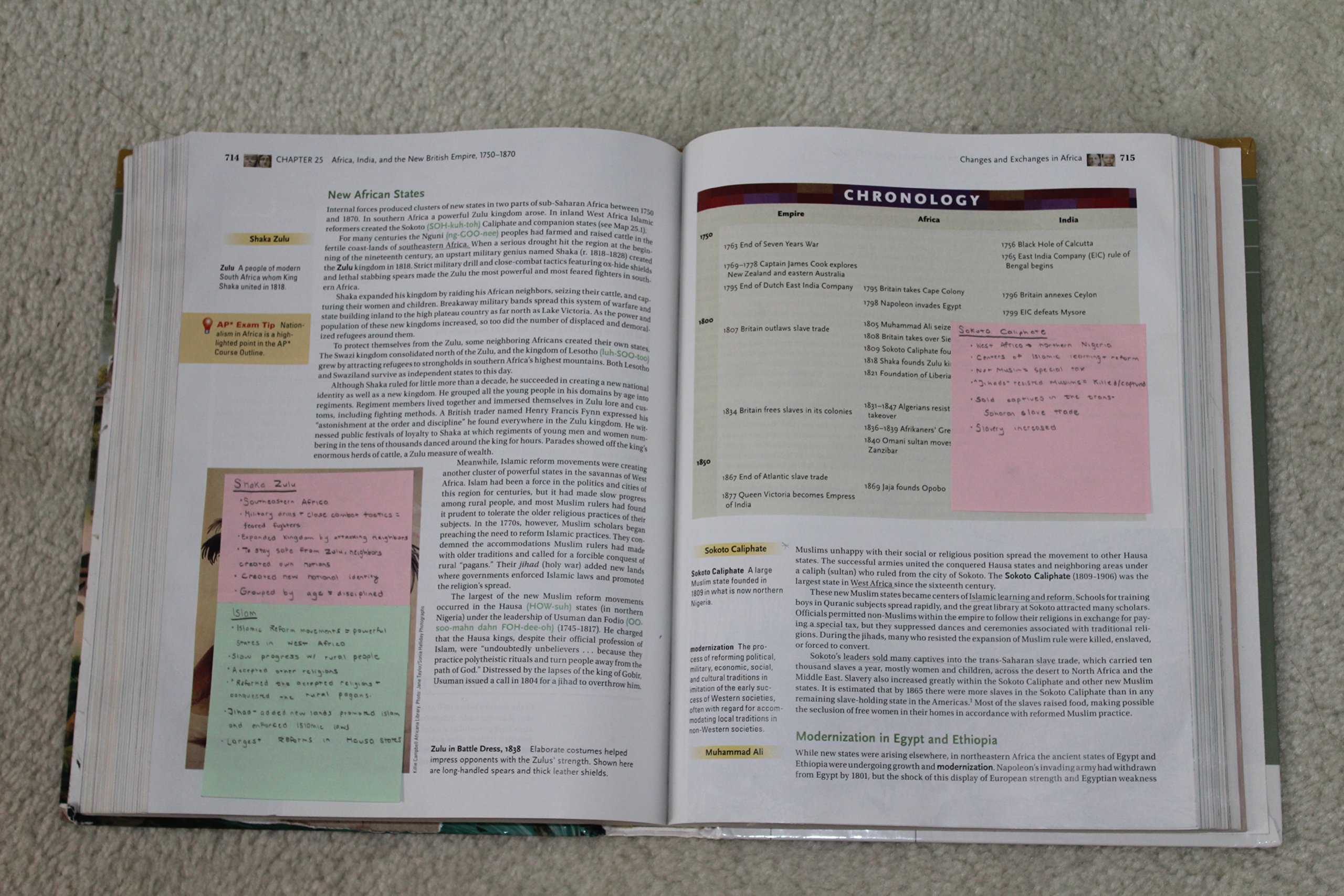 Earth & Its Peoples, AP Edition - Image 4