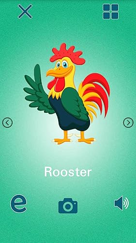 Learning animals sound / picture