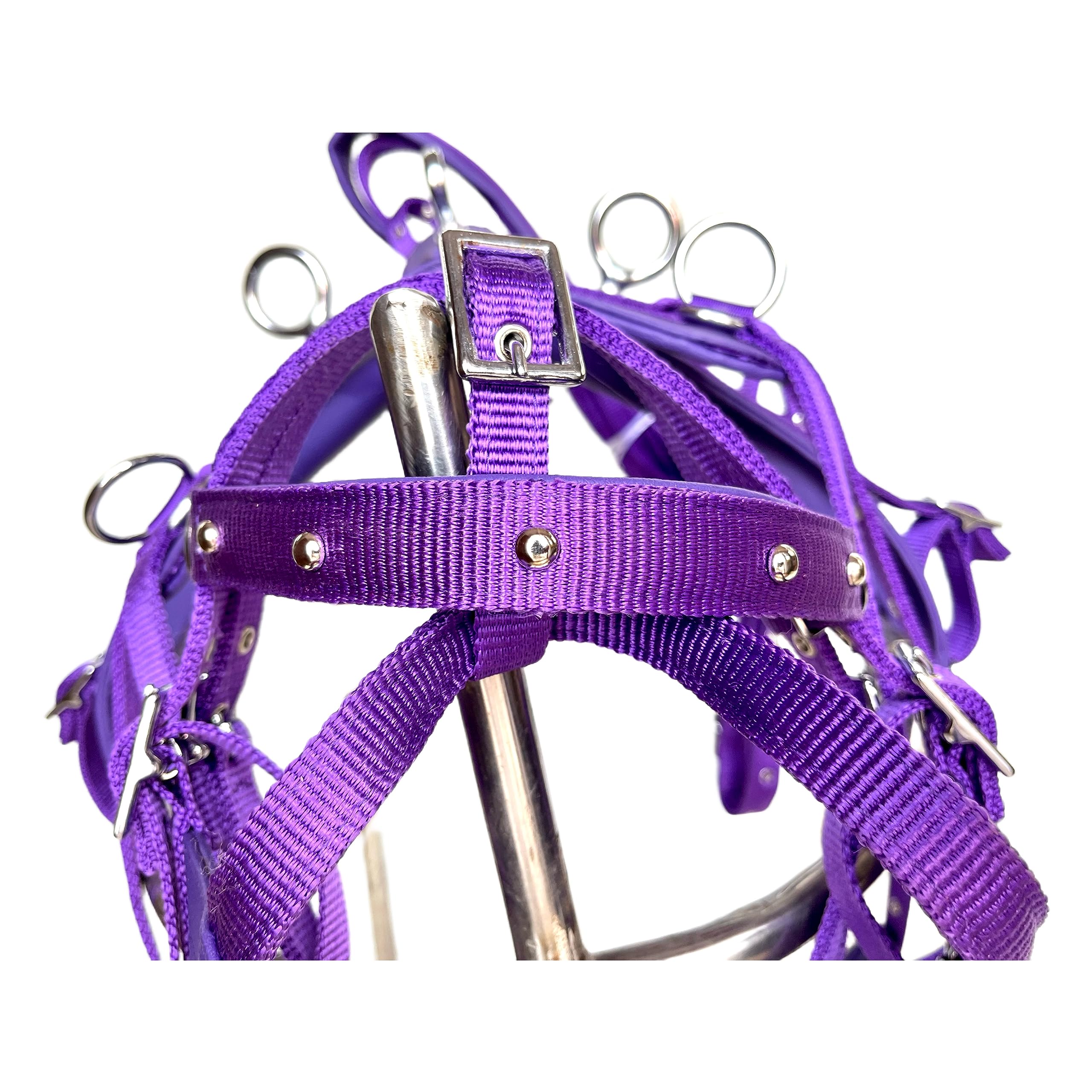 Ensemble de harnais de conduite de chariot de cheval en nylon de qualité supérieure, matériel équestre complet avec rênes et bride pour poney, cob, complet et Shetland noir (Shetland