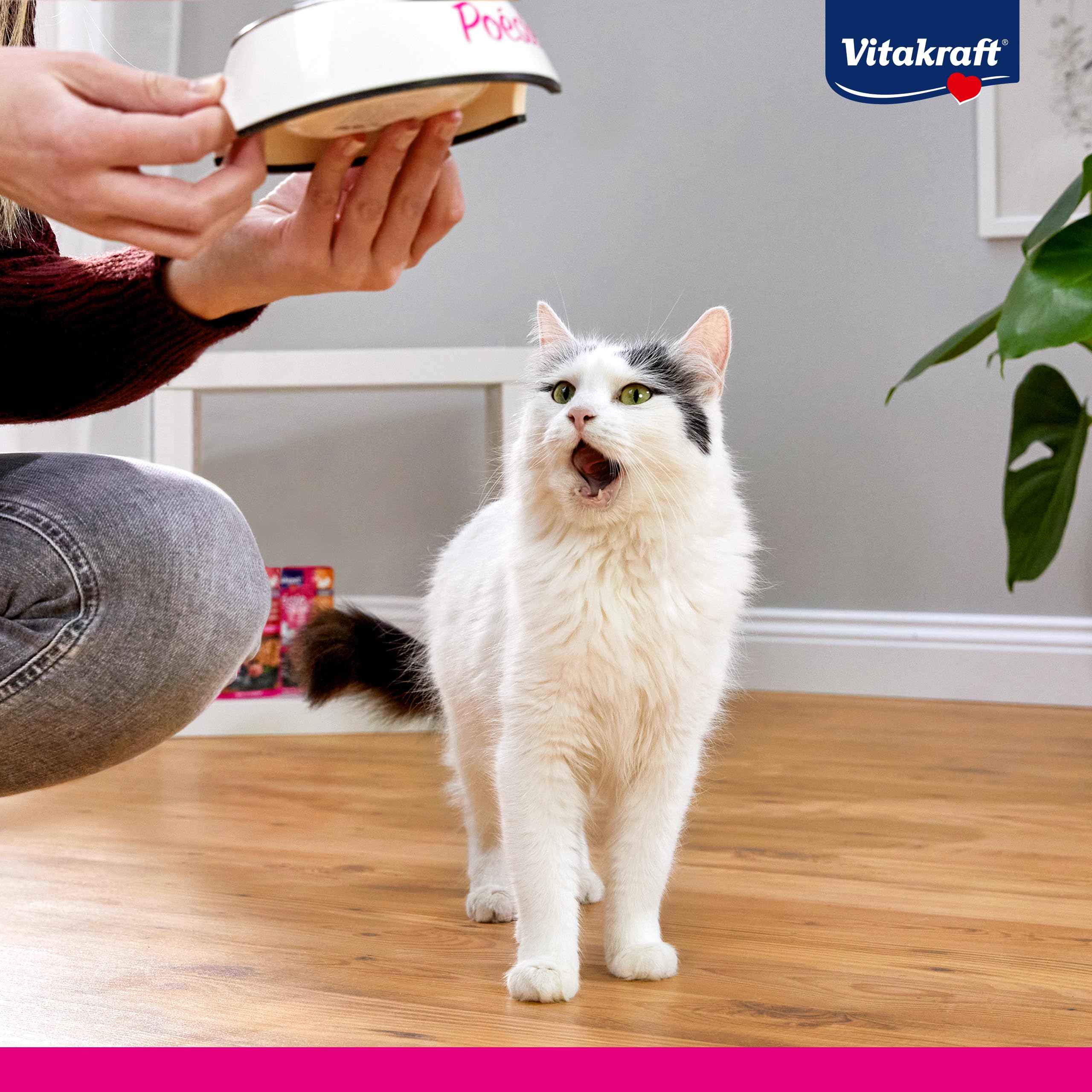 VITAKRAFT- Poésie Création, Sélection Tendre, Nourriture Humide pour Chats, en Sauce, avec du Poulet, De La Dinde, du Bœuf, sans Ajout De Sucre Ni De Céréales (1 Paquet De 6X85G)
