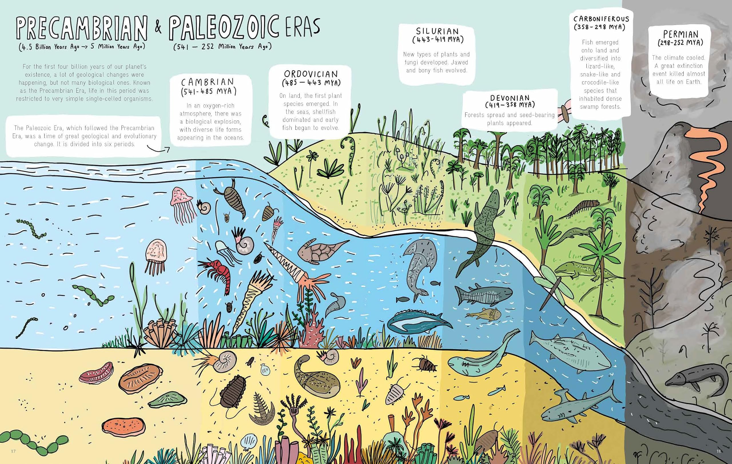Stones and Bones: Fossils and the stories they tell