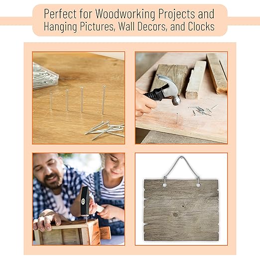 600pc Nail Assortment Kit | Perfect for DIY Projects!