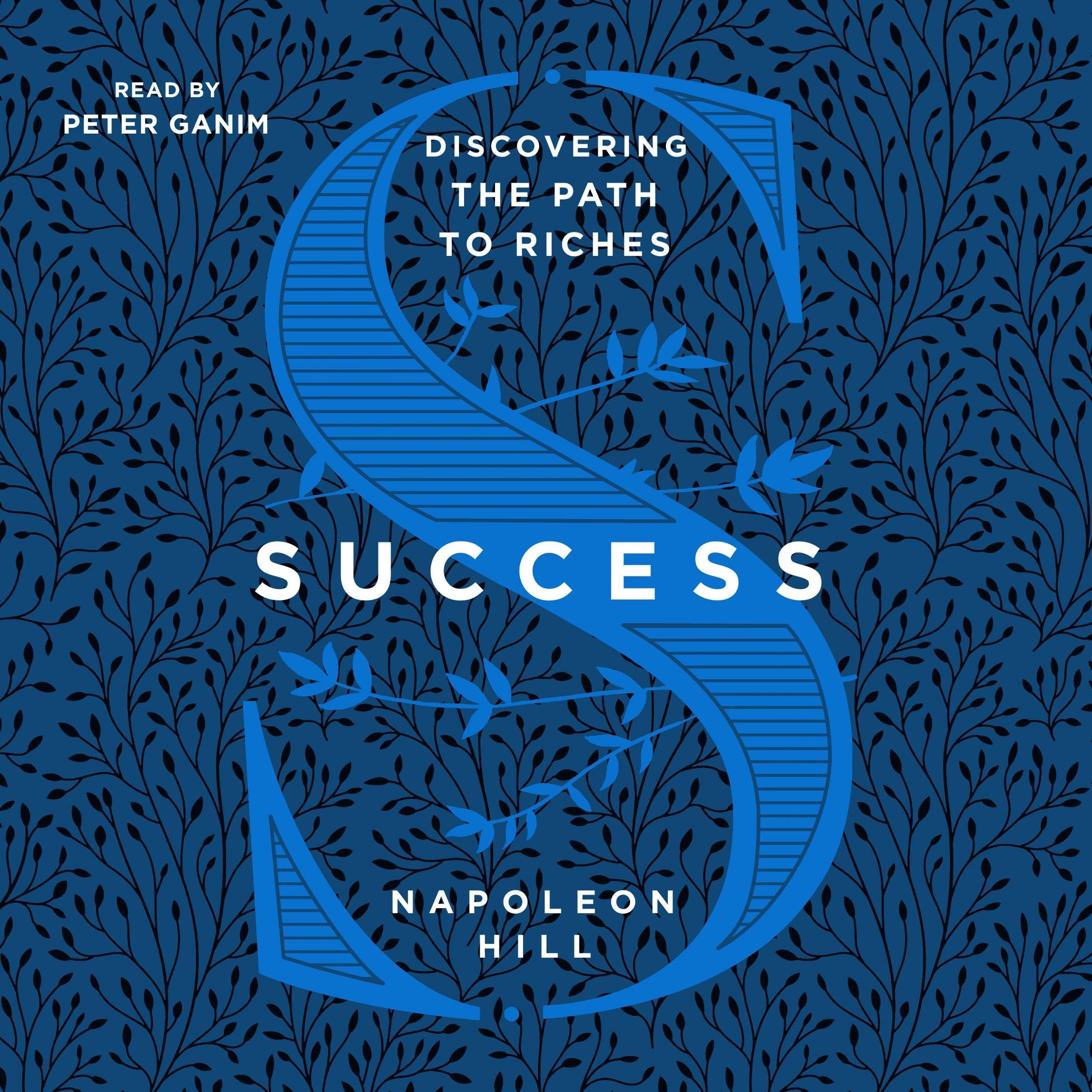 Cover art for Success: Discovering the Path to Riches