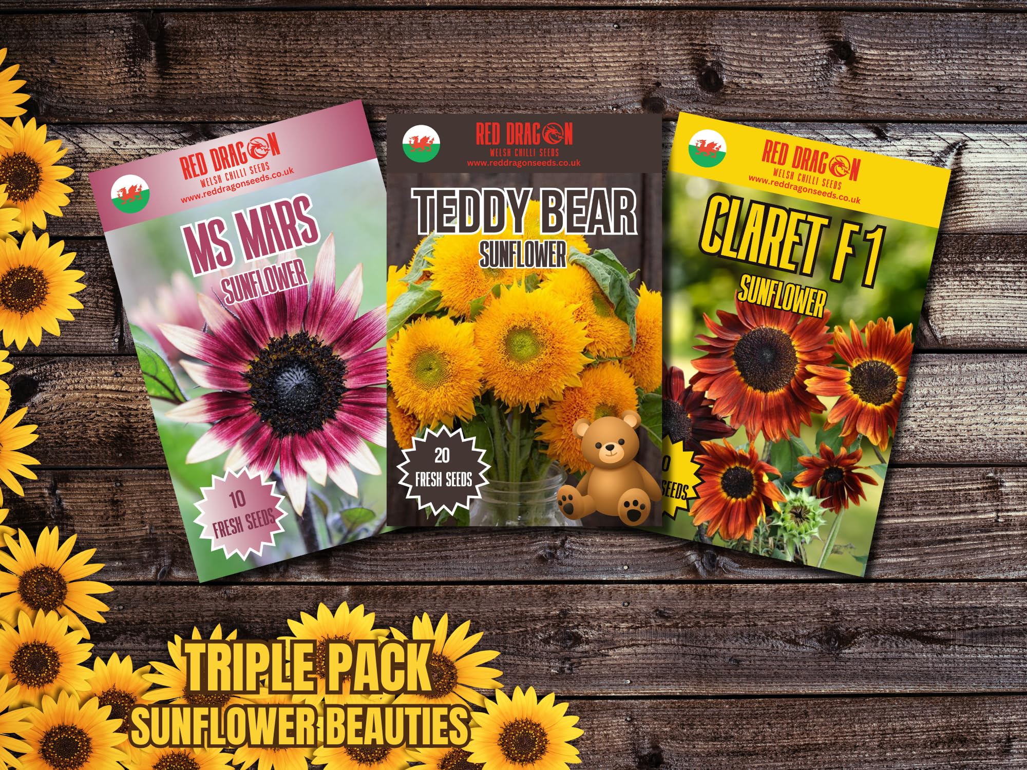 Sunflower Beauties - Triple Pack Including Ms Mars, Teddy Bear, and Claret F1. — image 1