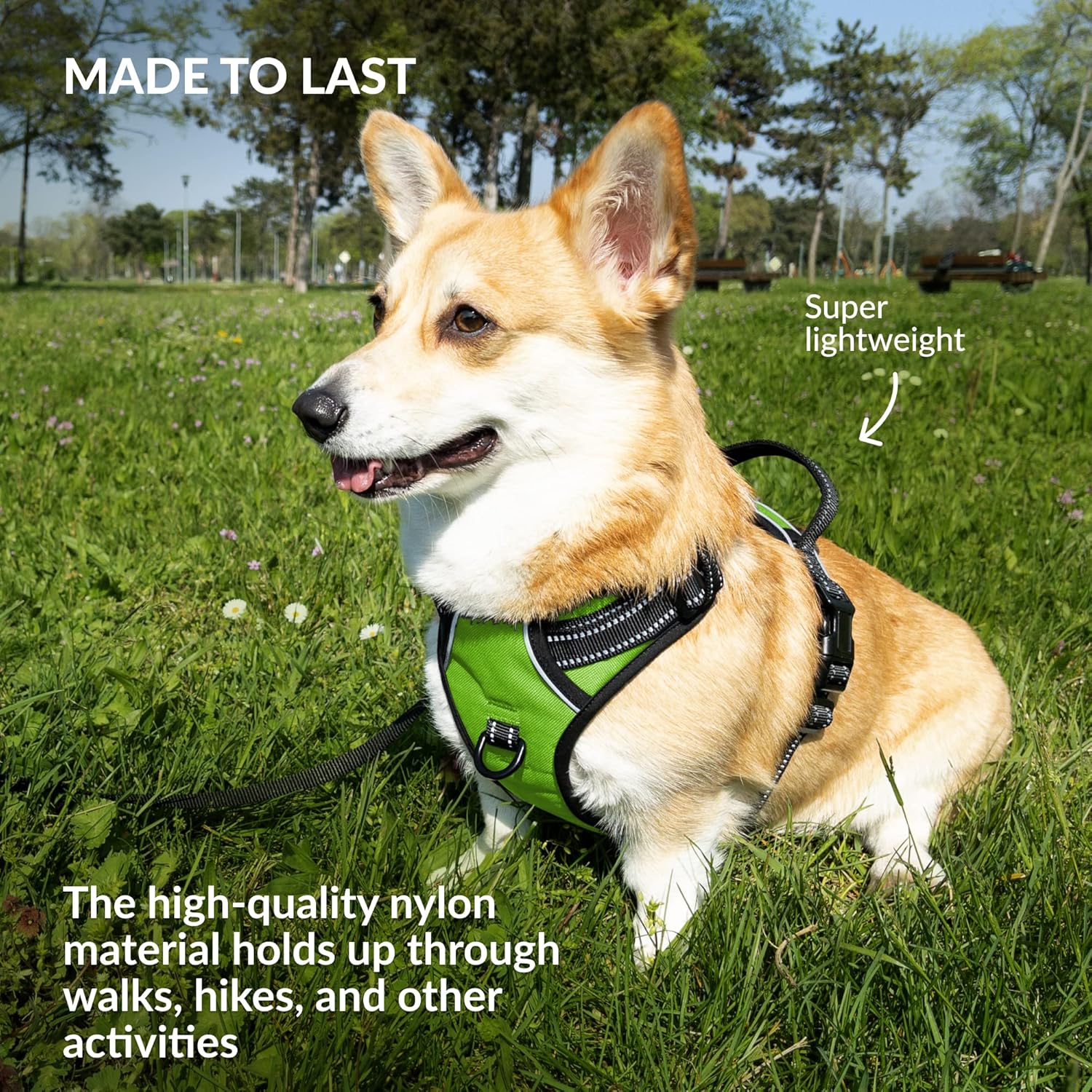 CollarDirect No Pull Reflective Dog Harness with Handle and Front Clip, Adjustible Soft Padded Vest for Small to Large Dogs Training and Walk (Size M, Lime Green)