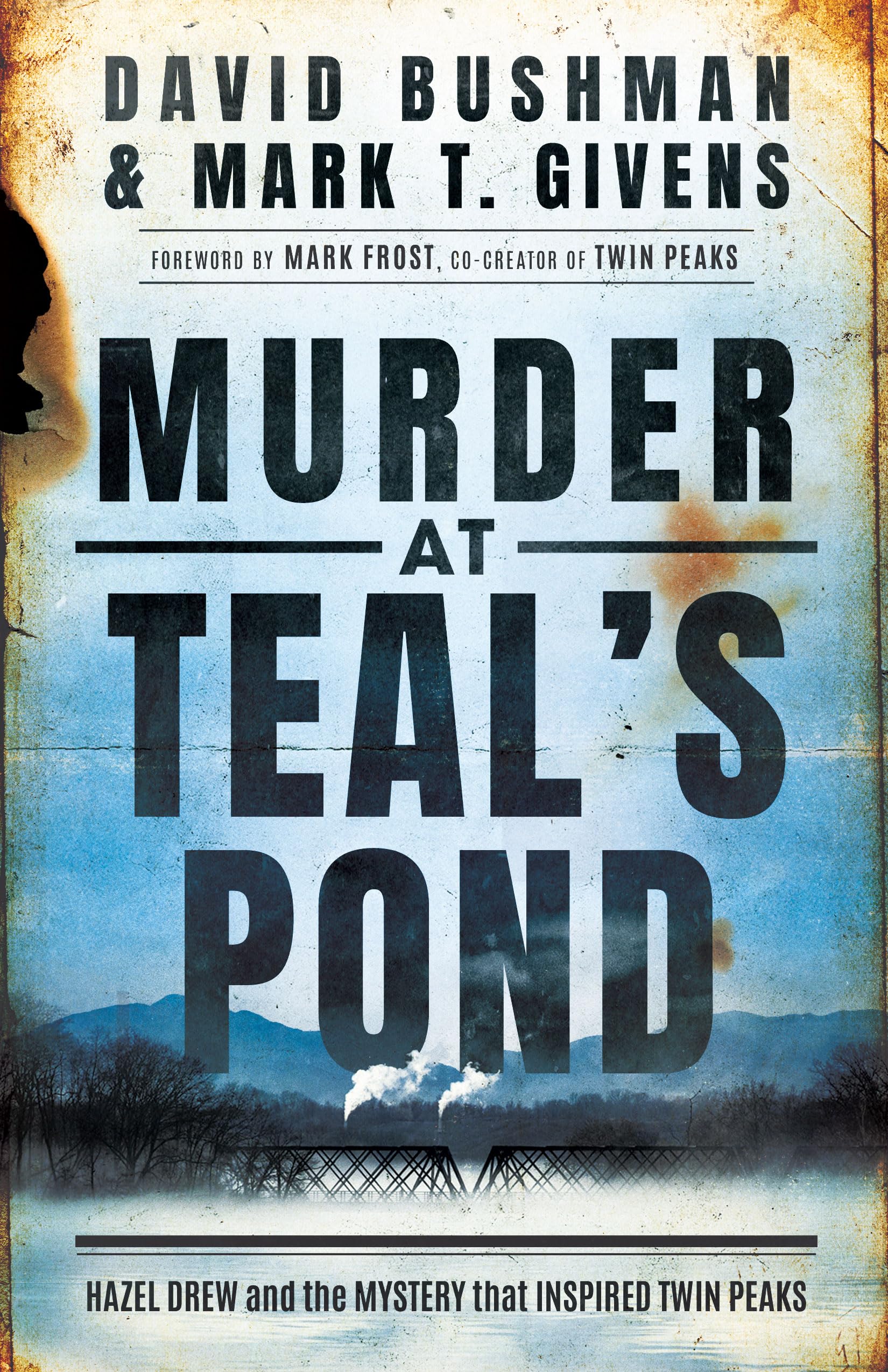 Murder at Teal's Pond: Hazel Drew and the Mystery  by David Bushman PAPERBACK