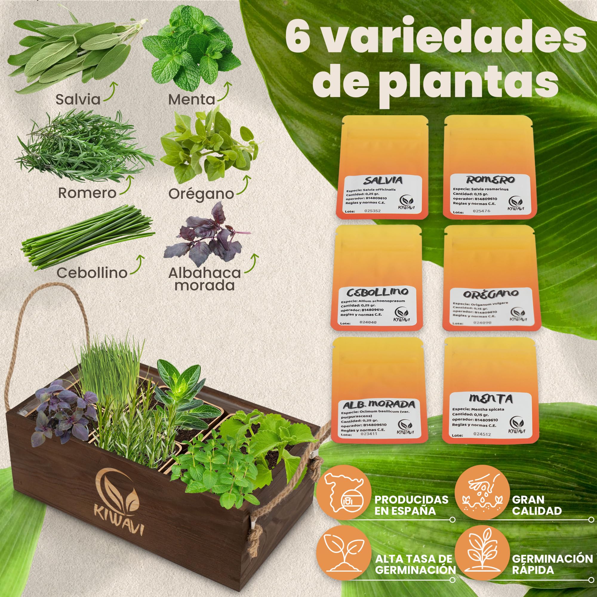 Kit de Cultivo de Plantas Aromáticas Culinarias - Mini Huerto Urbano para Interior con Romero, Menta, Albahaca Morada, Cebollino, Salvia y Orégano | Huerto en Casa