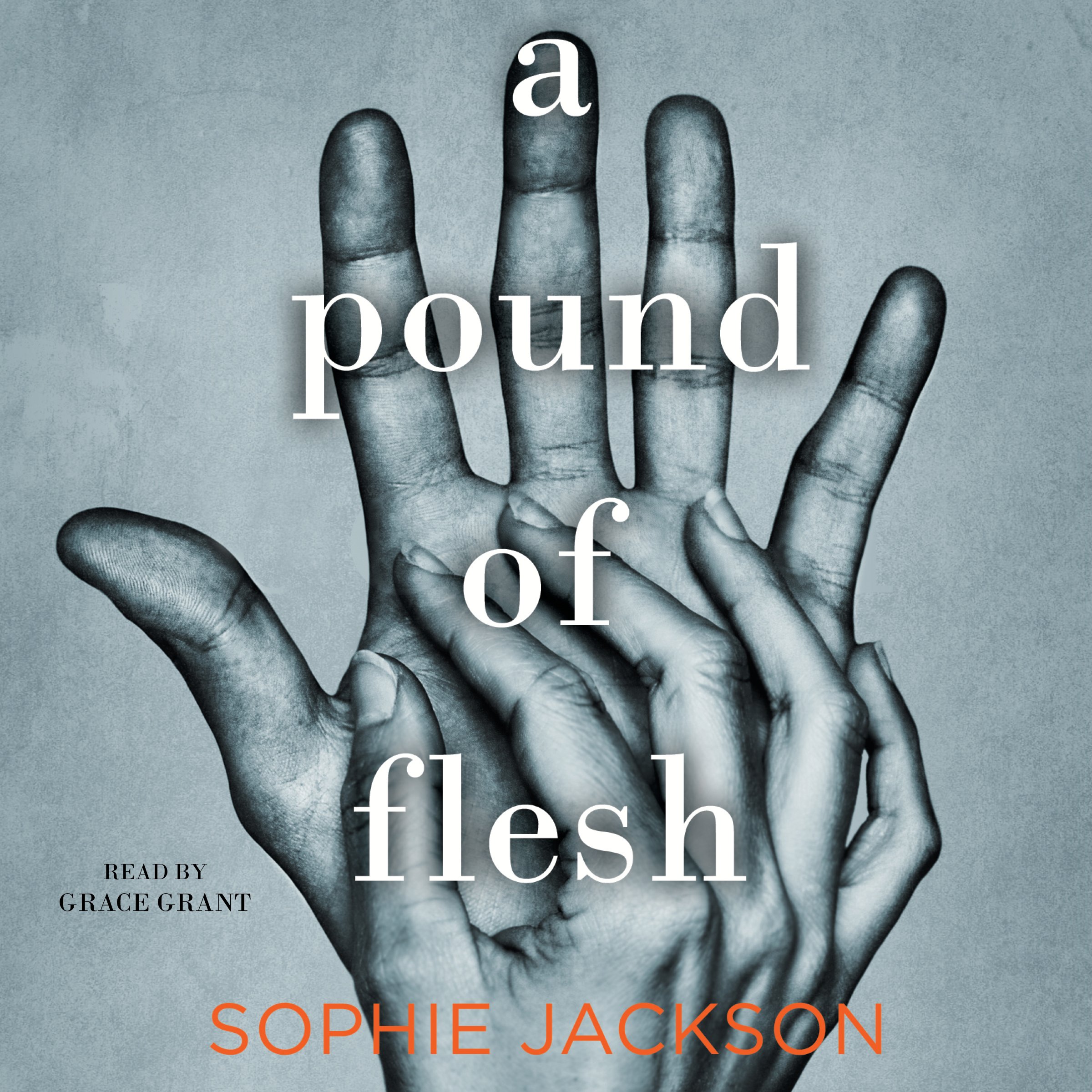 Cover art for A Pound of Flesh