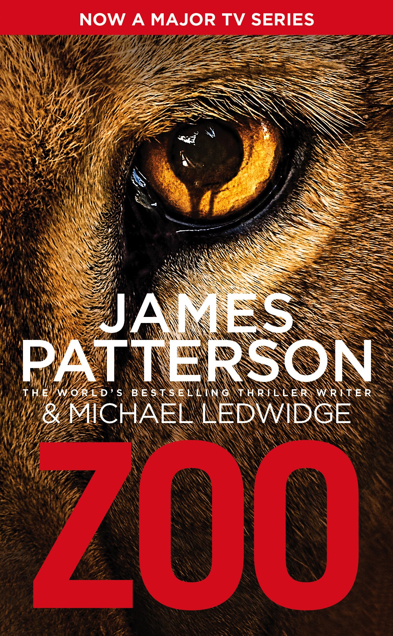 Buy Zoo (Zoo Series) — BookShops.in