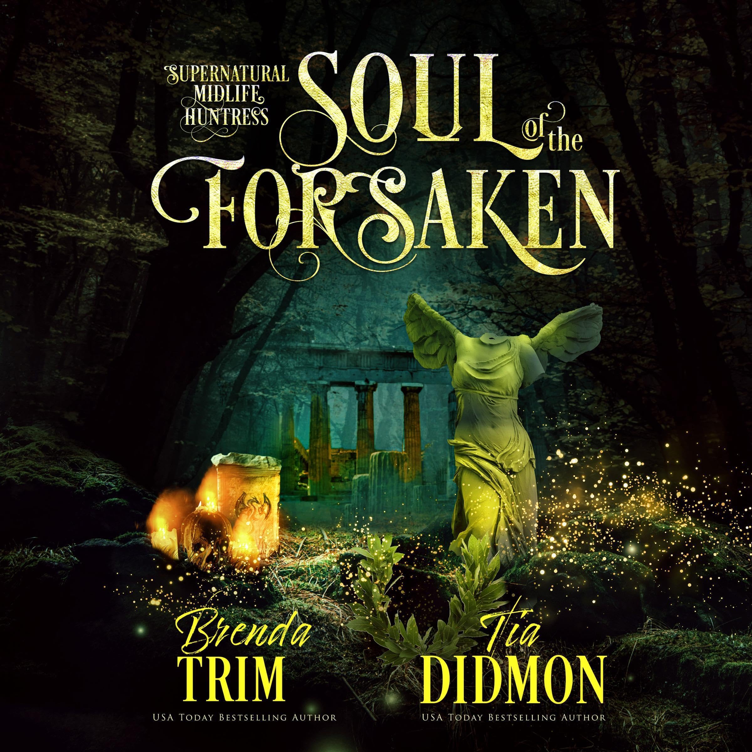Cover art for Soul of the Forsaken