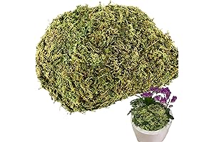 Nature's Touch® 4OZ Faux Moss for Potted Plants