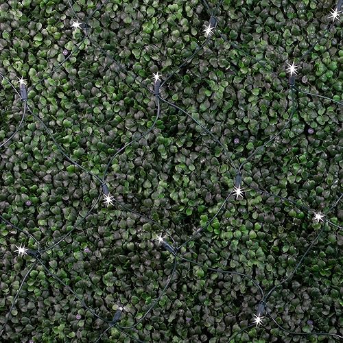 Miniatura 5 de Novelty Lights Luces de red de 4 x 6, 100 LED blancos puros con espacio de 4 pulgadas, bombillas de gran angular de 0.197 in en cable verde,