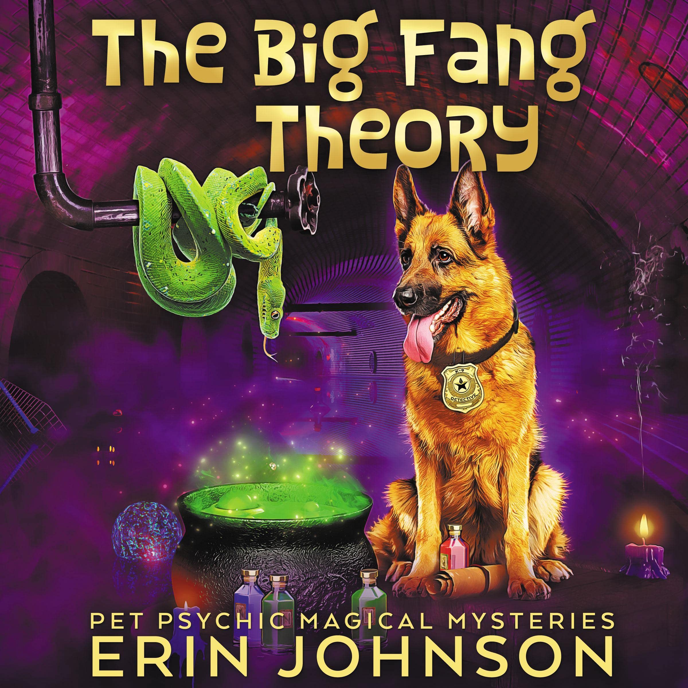 Cover art for The Big Fang Theory