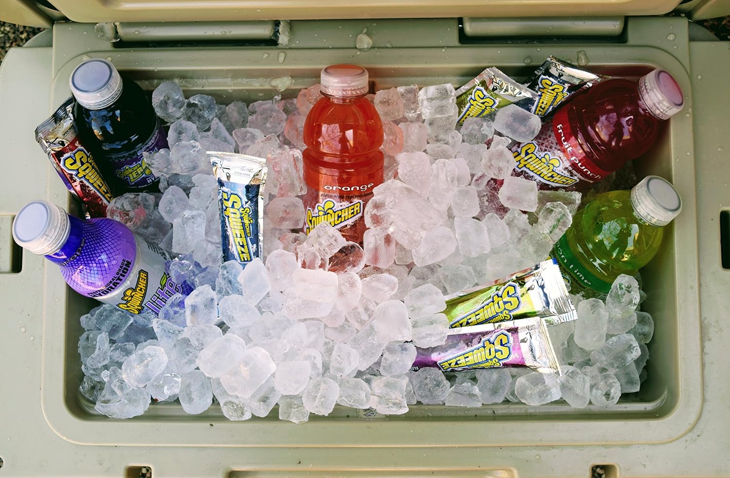 Sqwincher Zero Activity Drink Bottles | Mixed Berry Flavored | Sugar Free | Low Calorie | Low Sodium | Ready-To-Drink | Electrolyte Replenishment Hydration Drink | 20 oz (Case of 24)