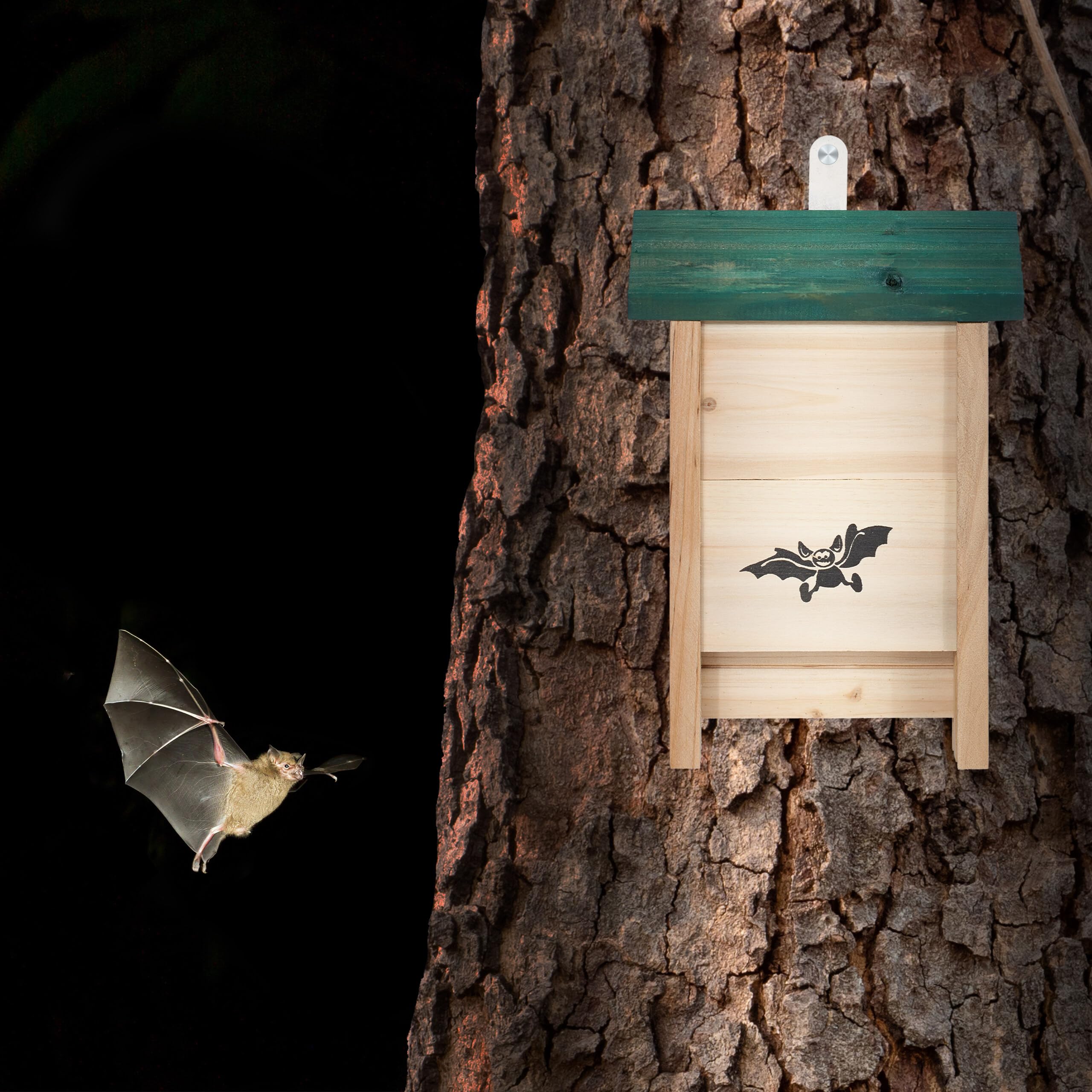Relaxdays Set de 4 Cajas para murciélagos de Madera sin Tratar, 25x18x6 cm, Natural y Verde