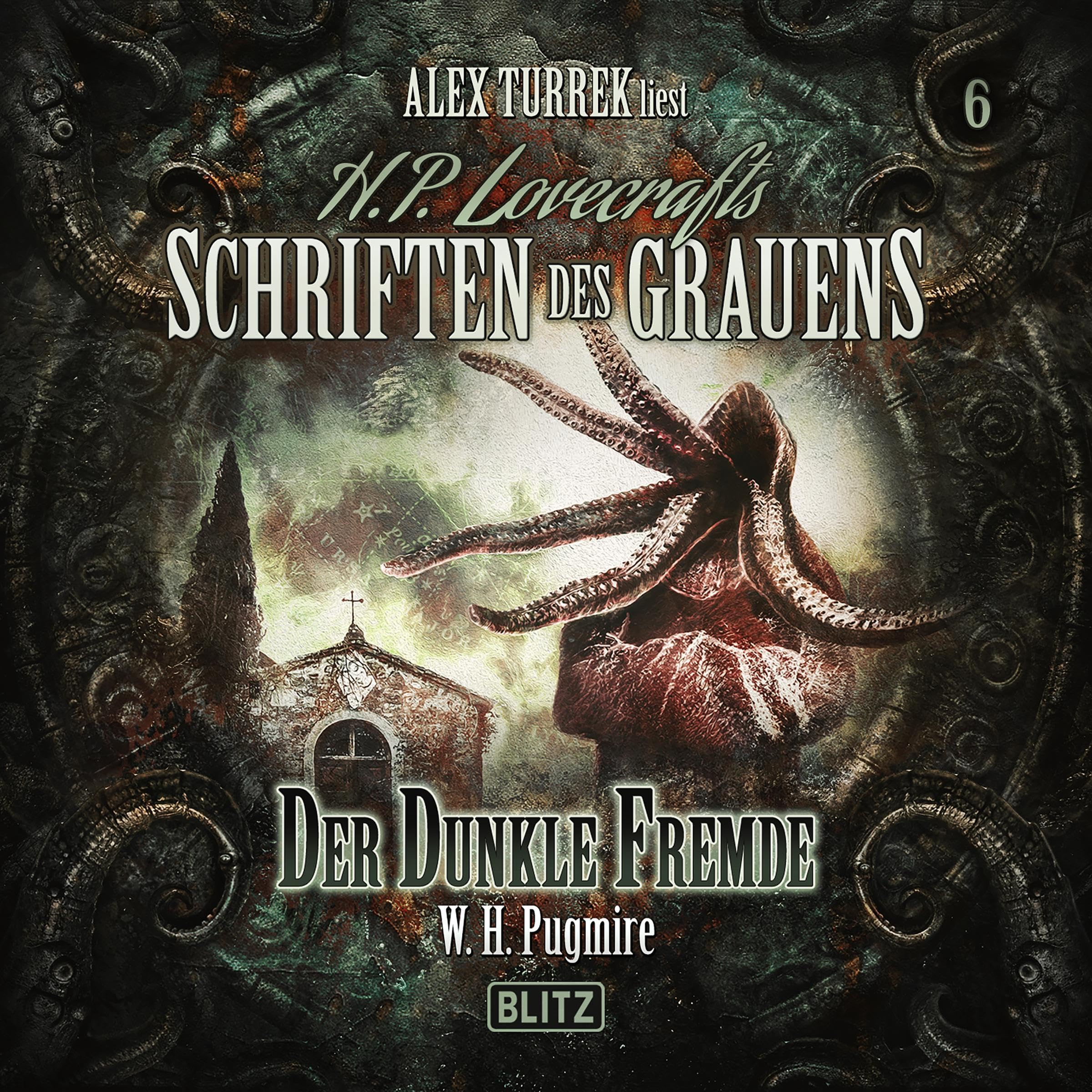 Cover art for Der dunkle Fremde