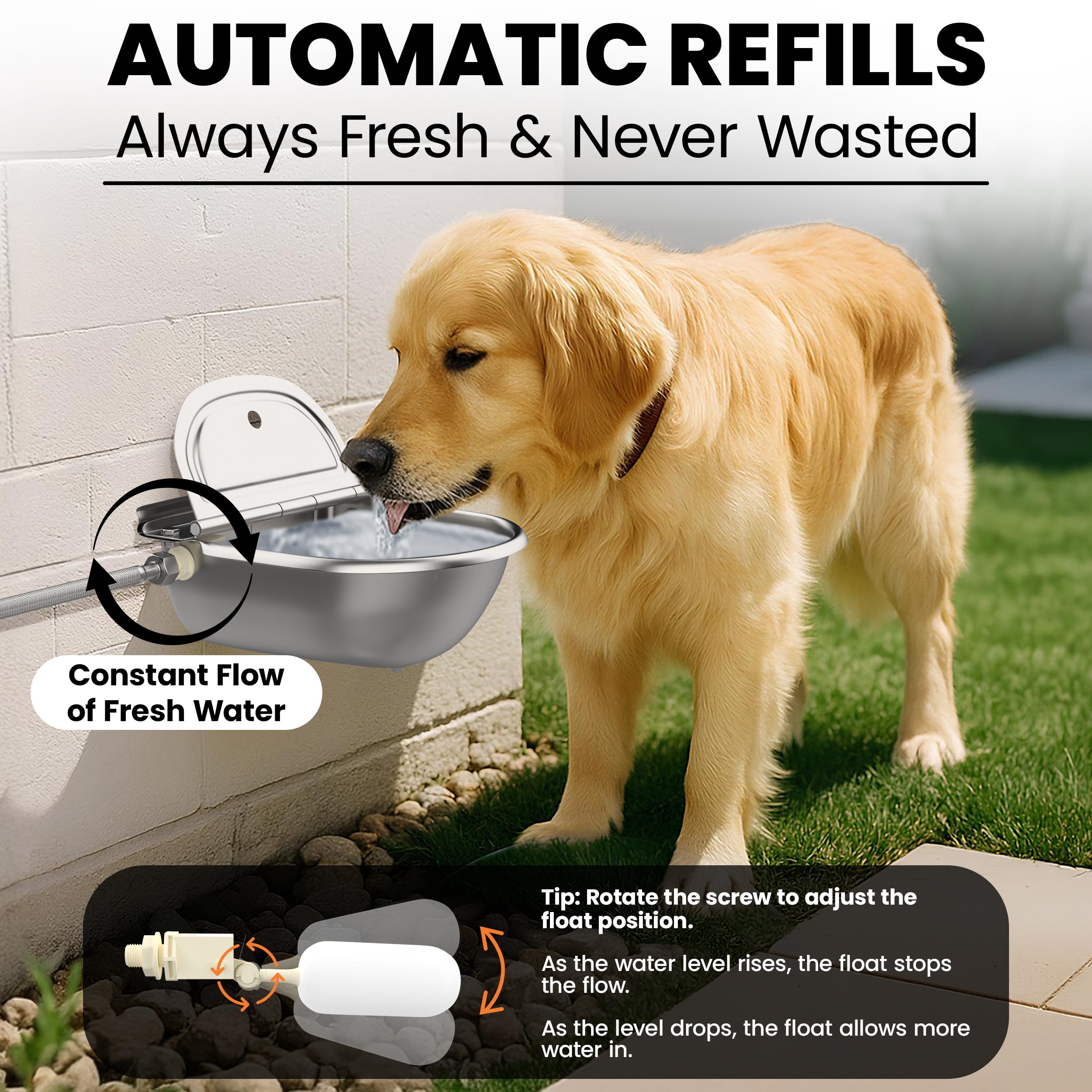 Cuenco automático de agua potable para animales, acero inoxidable 304 para perro, caballo, cabra, cerdo, vaca