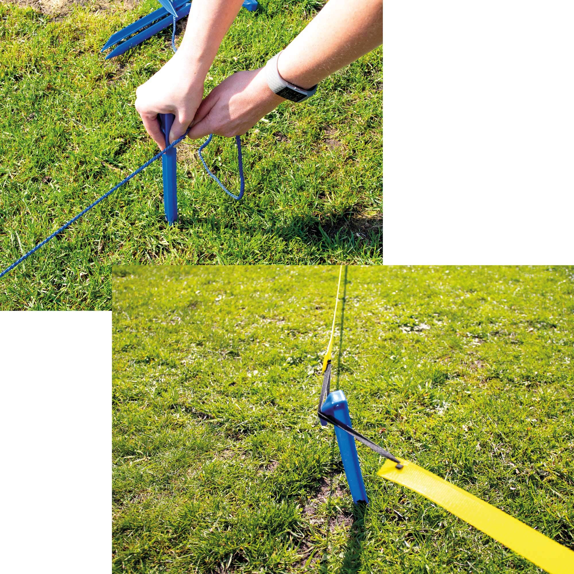 Longeer set / cirkel training voor honden - Kelders Kooien Longeer set / cirkel training voor honden - Kelders Kooien