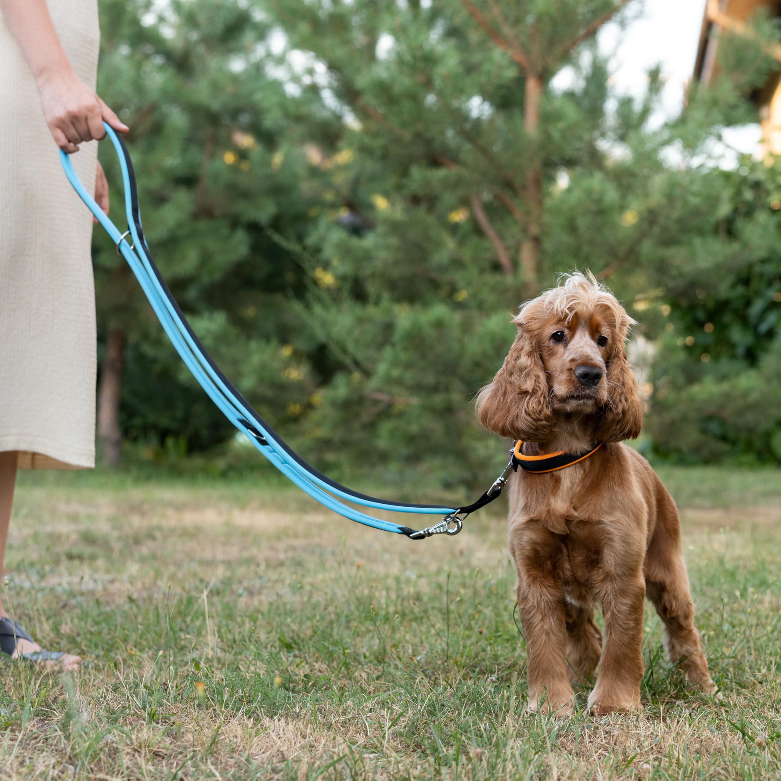 Ferplast Correa Adiestramento Perro ERGOFLUO, para Perros medianos, Asa Ergonómica Acolchada, Mosquetón metálico. Longitud Ajustable. Tamaño 200 cm, Azul