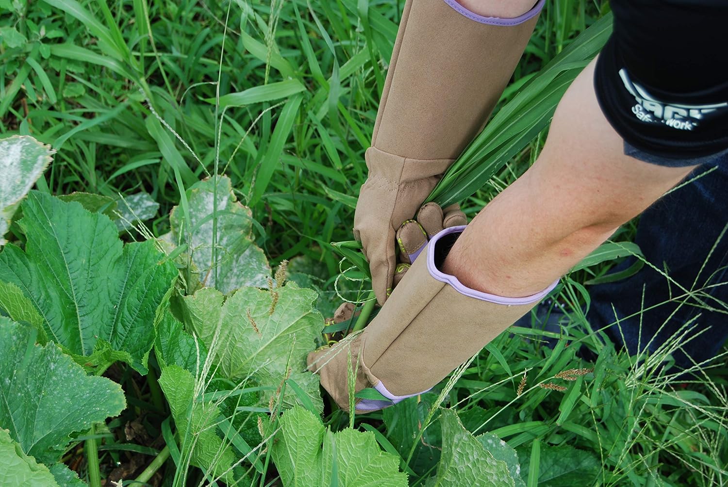 Magid Glove & Safety BE195TL Professional Rose Pruning Thorn Proof Gardening Gloves with Extra Long Forearm Protection for Women, Large, Brown & Purple : Everything Else