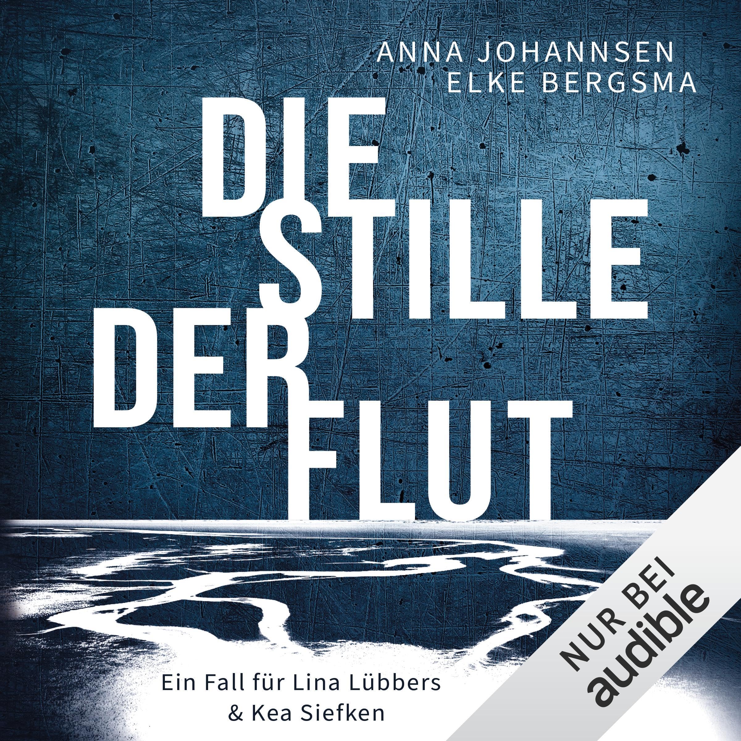 Cover art for Die Stille der Flut