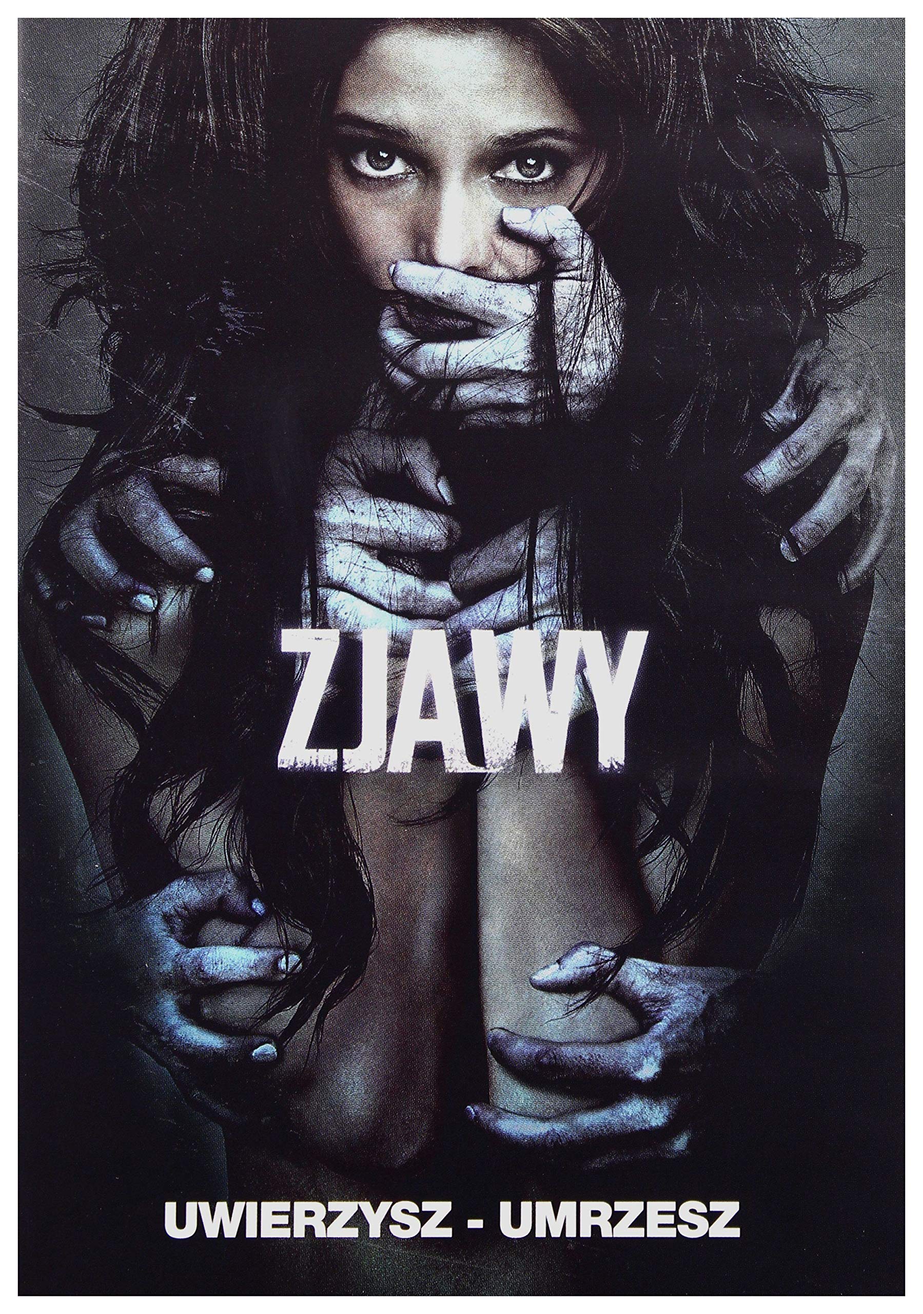 その他 The Apparition [DVD] The Apparition : Greene, Ashley, Felton, Tom, Stan