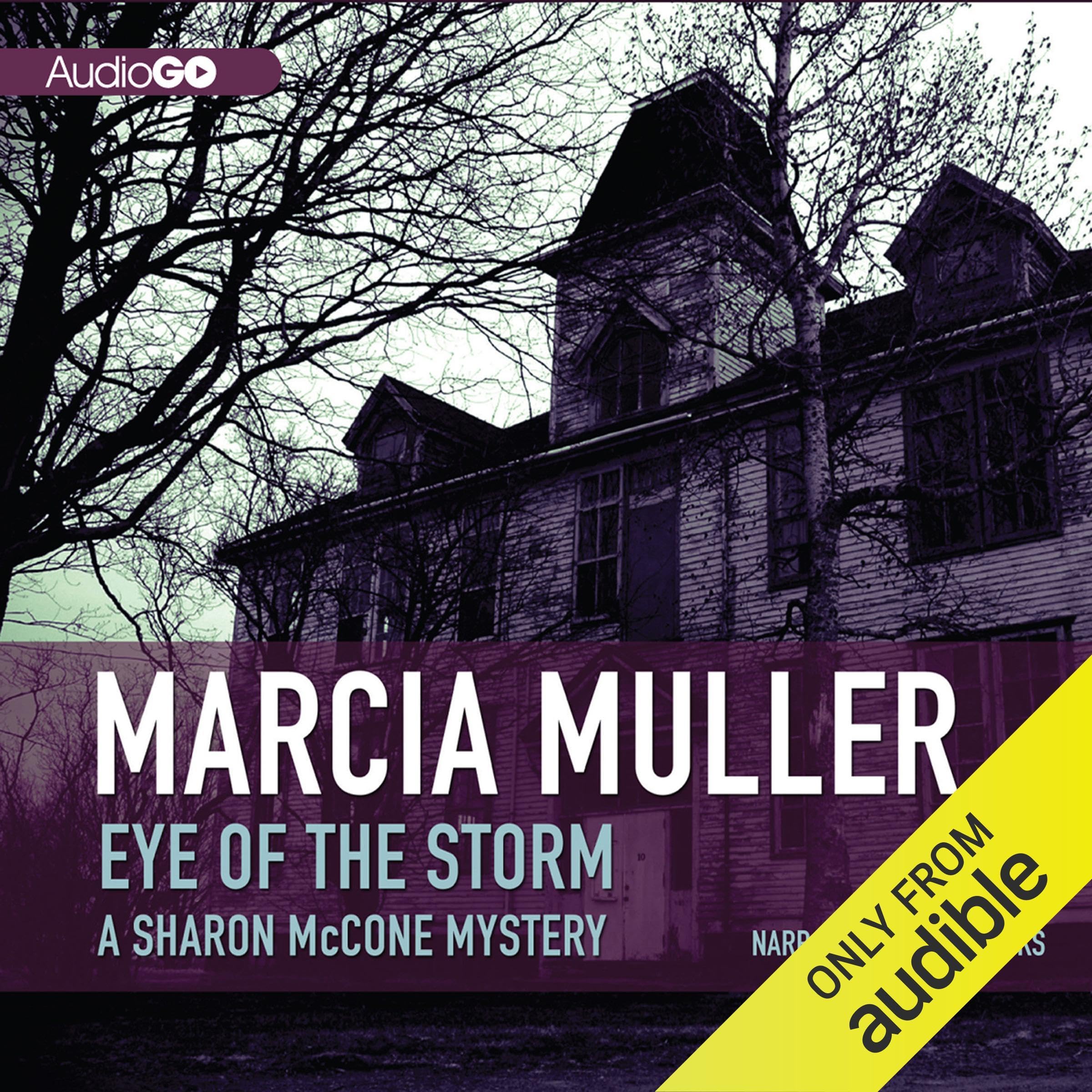 Cover art for Eye of the Storm