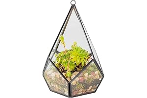 D'Eco Glass Geometric Plant Terrarium